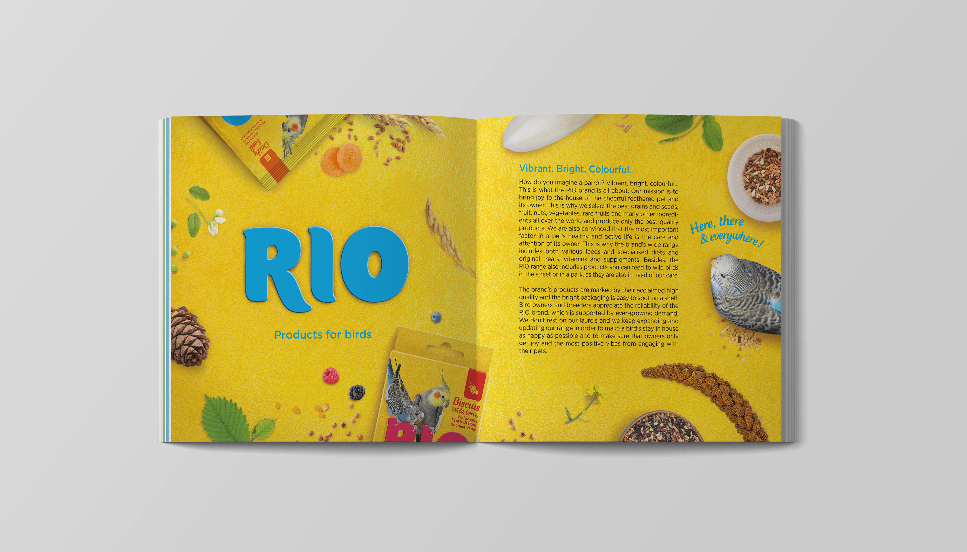 Catalog RIO / Little One — Изображение №9 — Графика на Dprofile