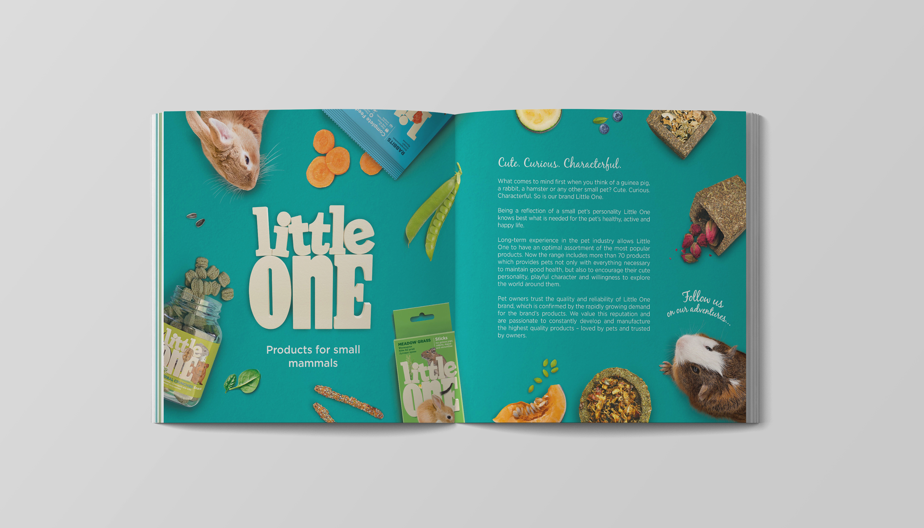 Catalog RIO / Little One — Изображение №3 — Графика на Dprofile