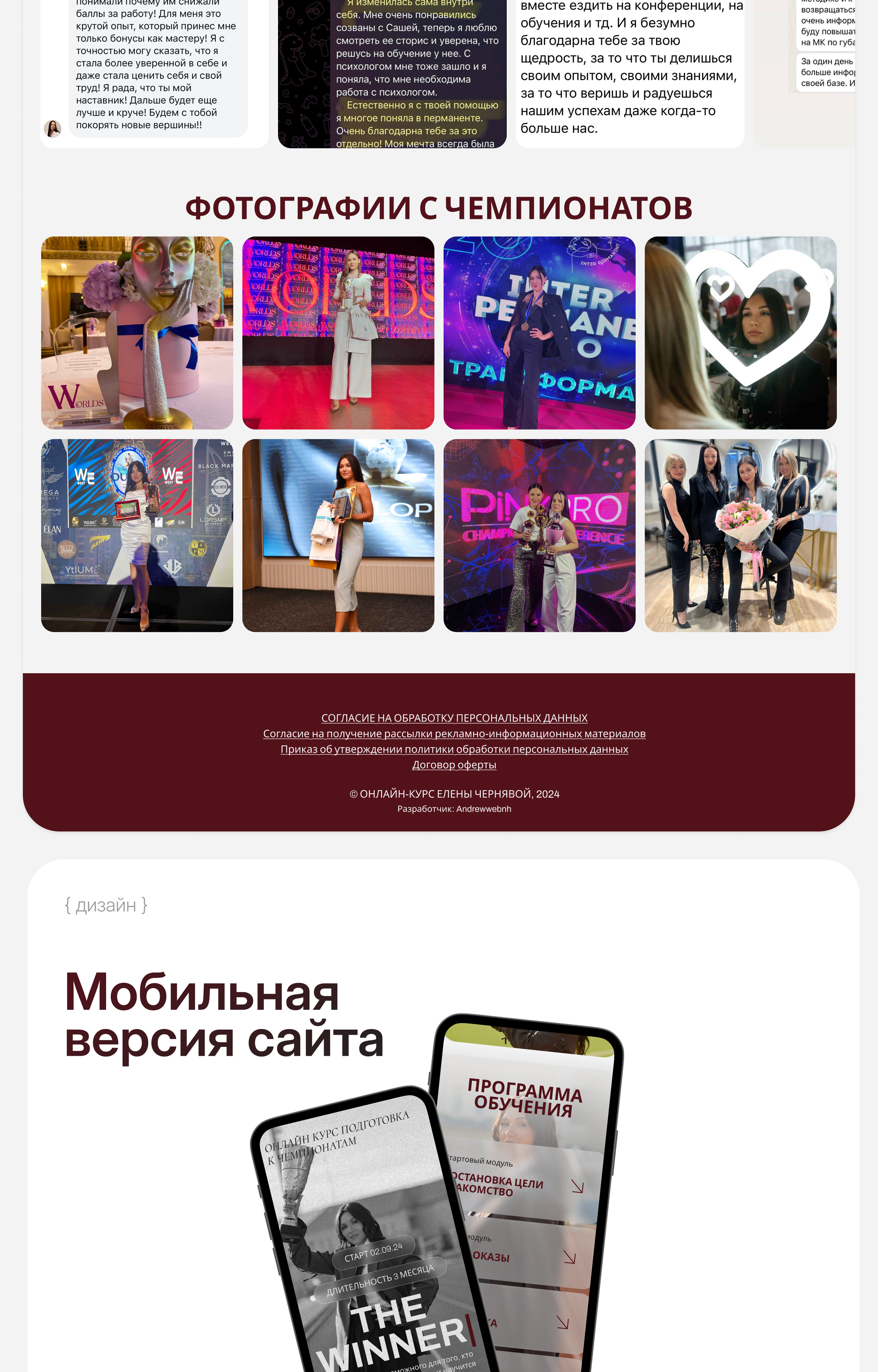 Сайт  по продаже курса  по  перманентному макияжу — Изображение №6 — Интерфейсы, Брендинг на Dprofile