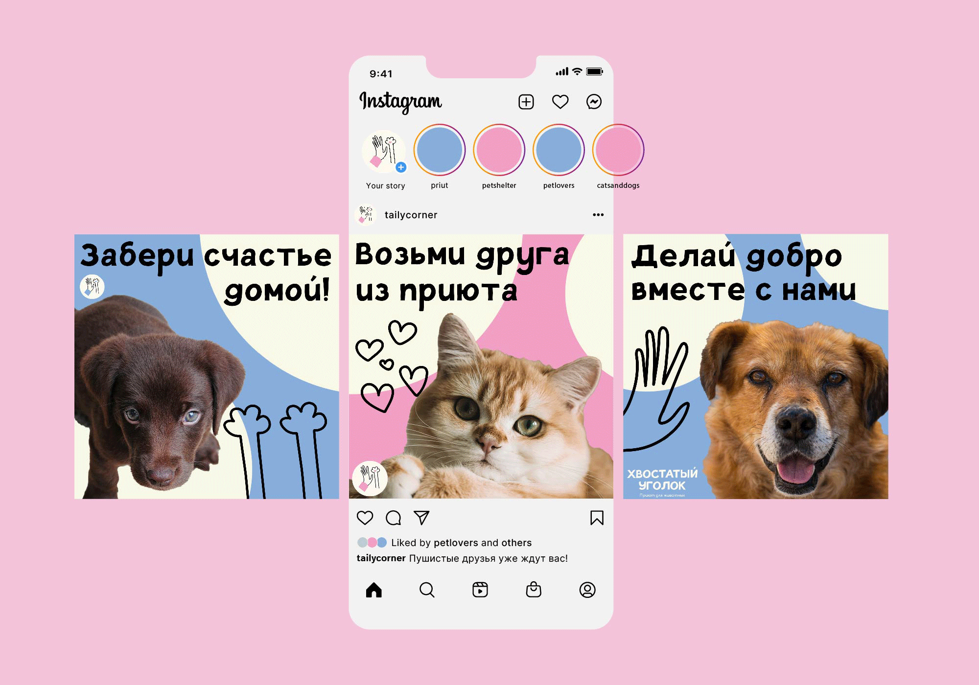 Хвостатый Уголок – приют — Изображение №16 — Брендинг, Графика на Dprofile