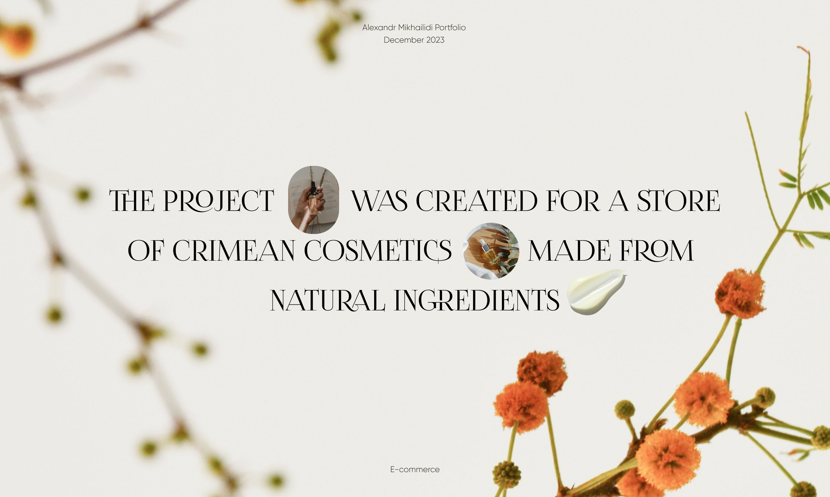 CRIMEAN FANTASY | E-COMMERCE — Изображение №1 — Интерфейсы на Dprofile