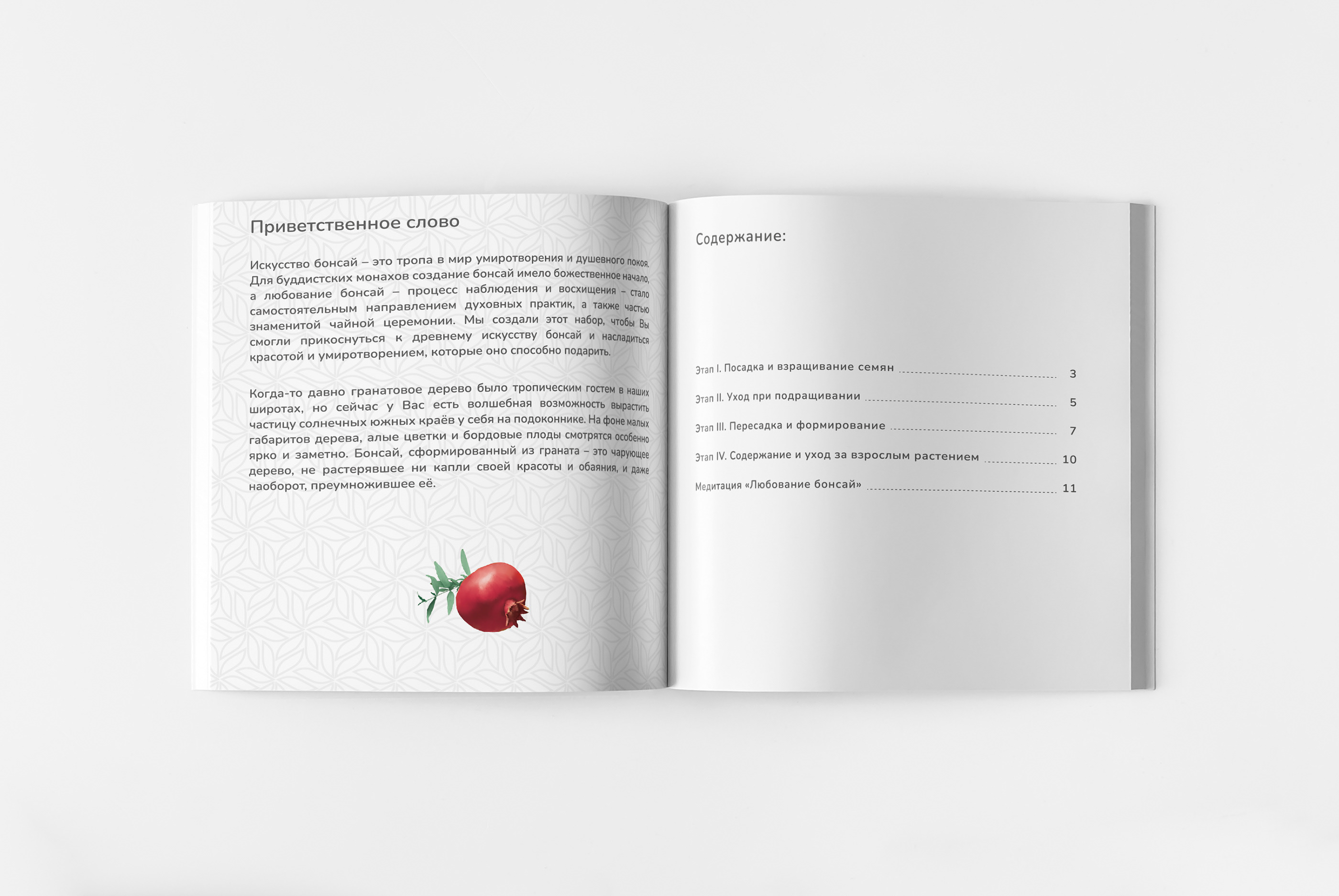 Дизайн упаковки наборов для выращивания. Серия “Бонсай” — Изображение №14 — Брендинг, Графика на Dprofile