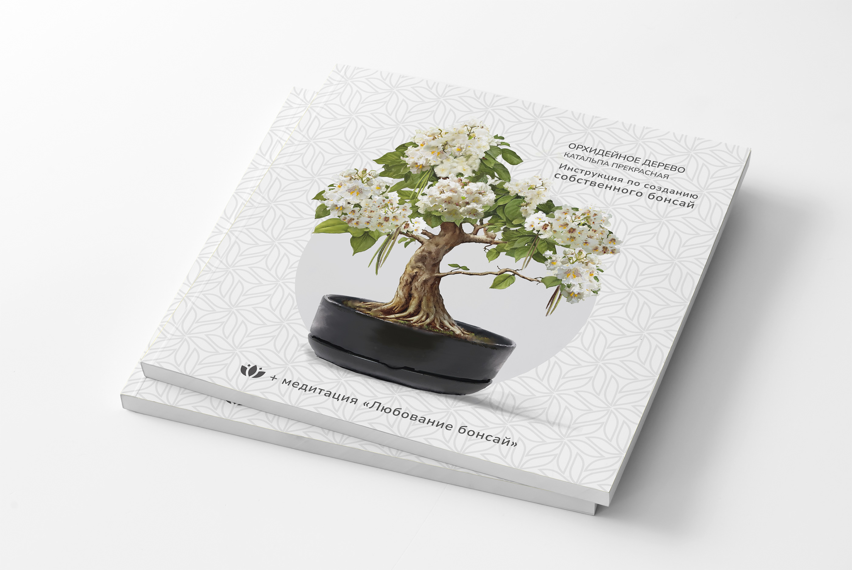 Дизайн упаковки наборов для выращивания. Серия “Бонсай” — Изображение №13 — Брендинг, Графика на Dprofile