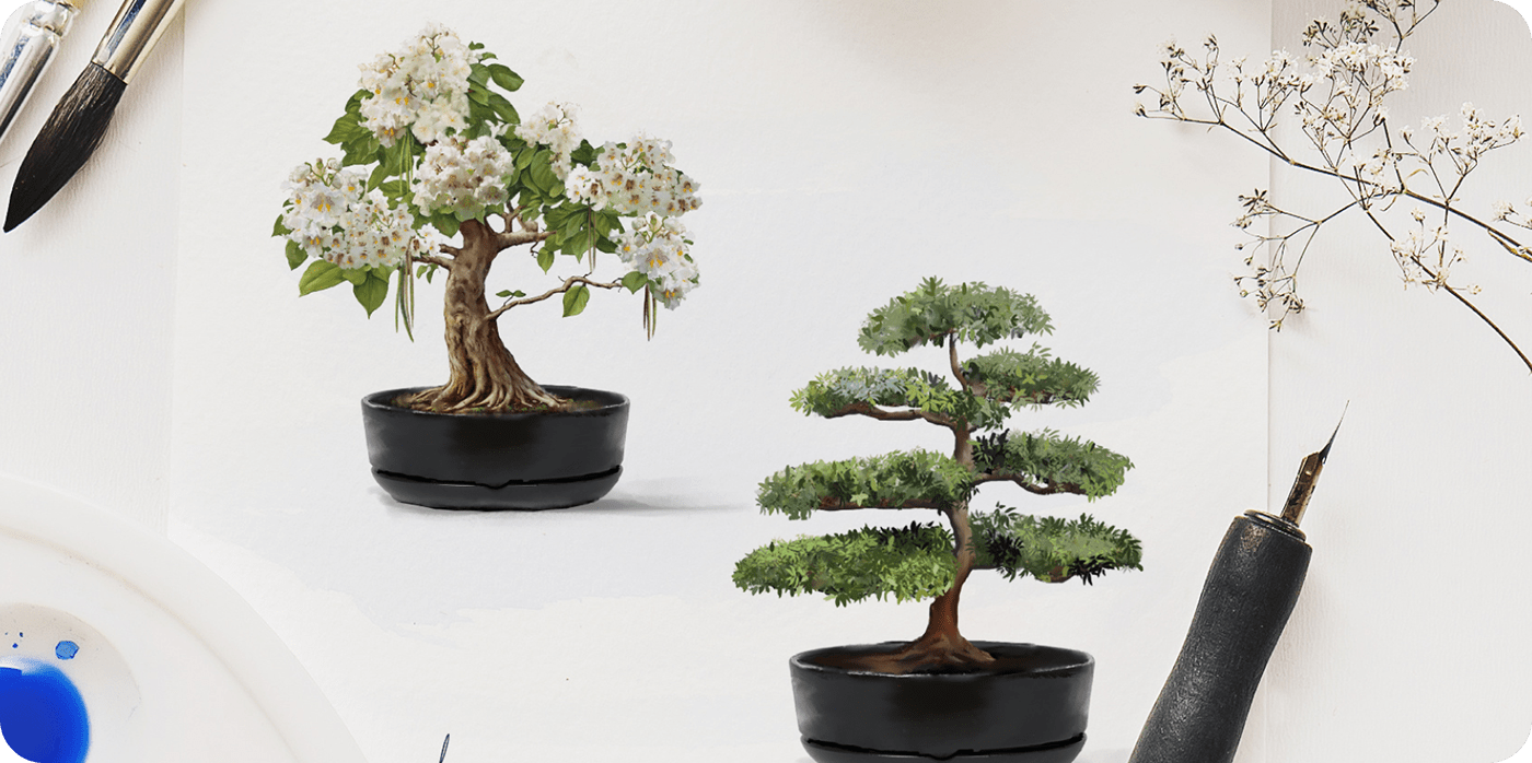 Дизайн упаковки наборов для выращивания. Серия “Бонсай” — Изображение №3 — Брендинг, Графика на Dprofile