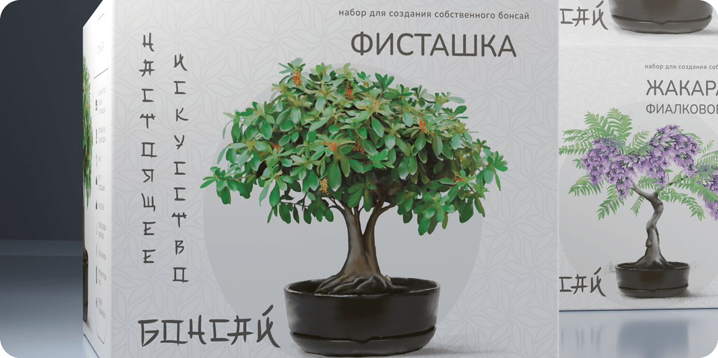 Дизайн упаковки наборов для выращивания. Серия “Бонсай” — Изображение №10 — Брендинг, Графика на Dprofile