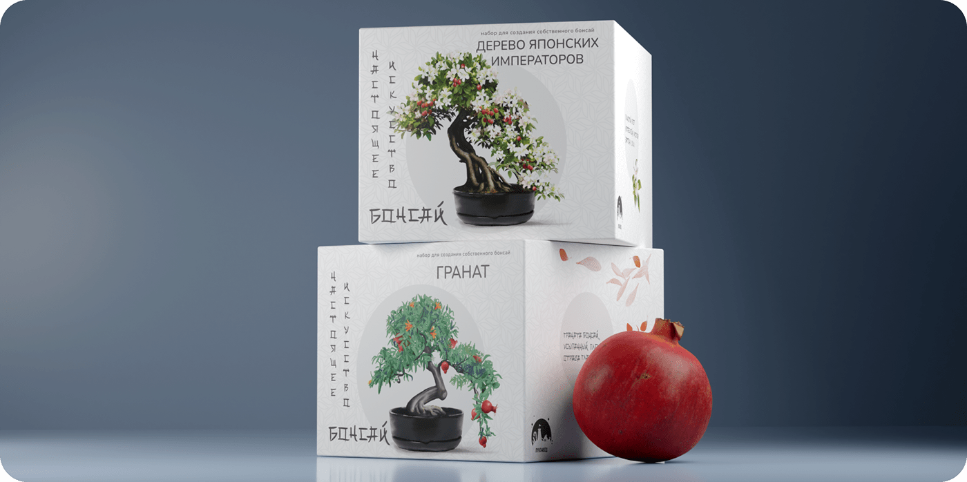 Дизайн упаковки наборов для выращивания. Серия “Бонсай” — Изображение №7 — Брендинг, Графика на Dprofile