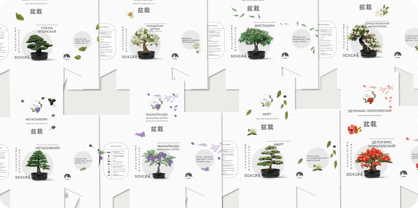 Дизайн упаковки наборов для выращивания. Серия “Бонсай” — Изображение №6 — Брендинг, Графика на Dprofile