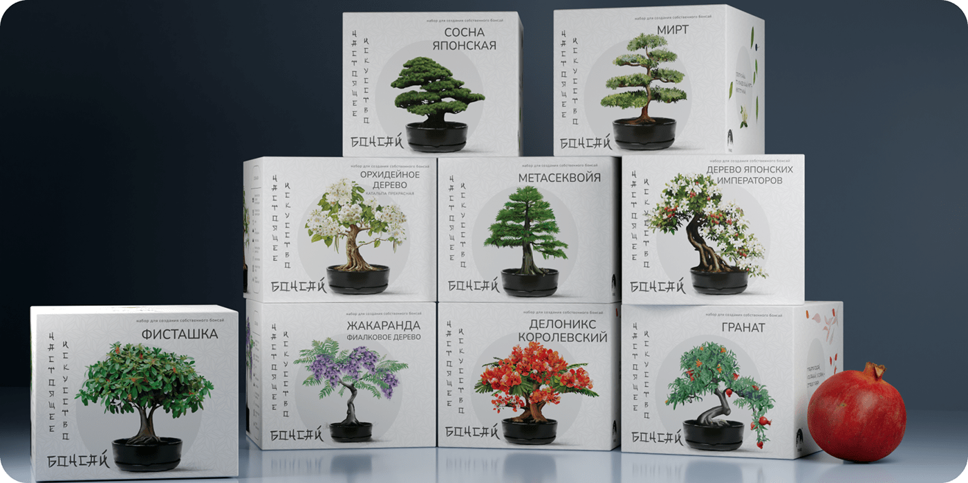 Дизайн упаковки наборов для выращивания. Серия “Бонсай” — Изображение №1 — Брендинг, Графика на Dprofile
