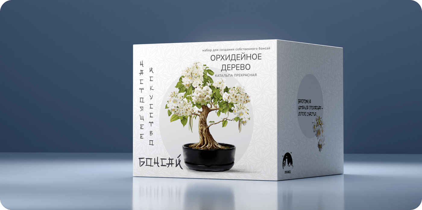 Дизайн упаковки наборов для выращивания. Серия “Бонсай” — Изображение №8 — Брендинг, Графика на Dprofile