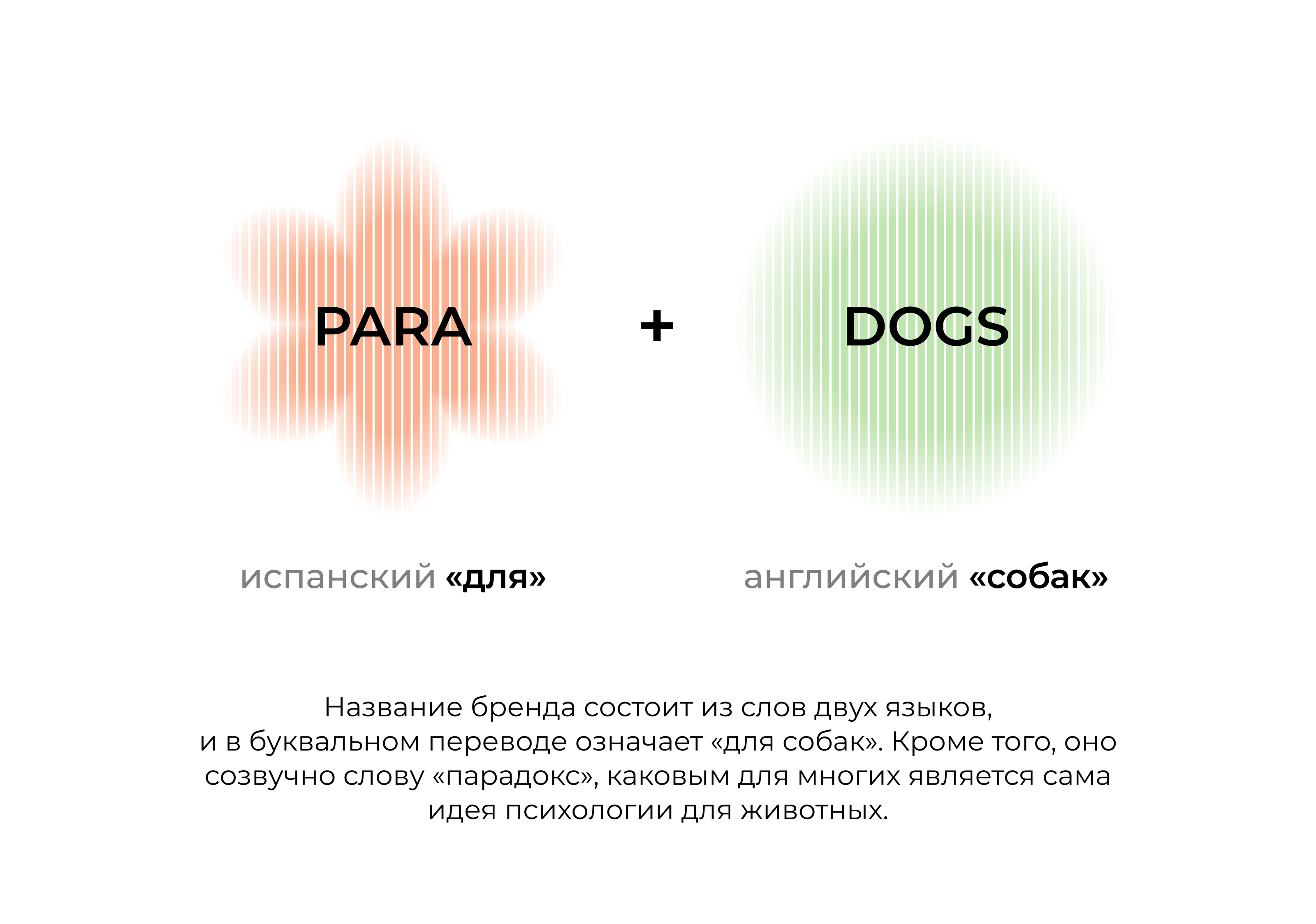 PARADAGS | ЦЕНТР ЗООПСИХОЛОГИИ | БРЕНДИНГ — Изображение №4 — Брендинг на Dprofile