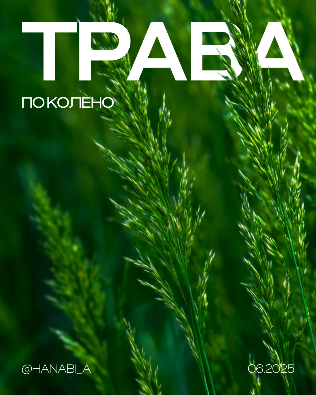 Серия постеров — Изображение №2 — Графика на Dprofile