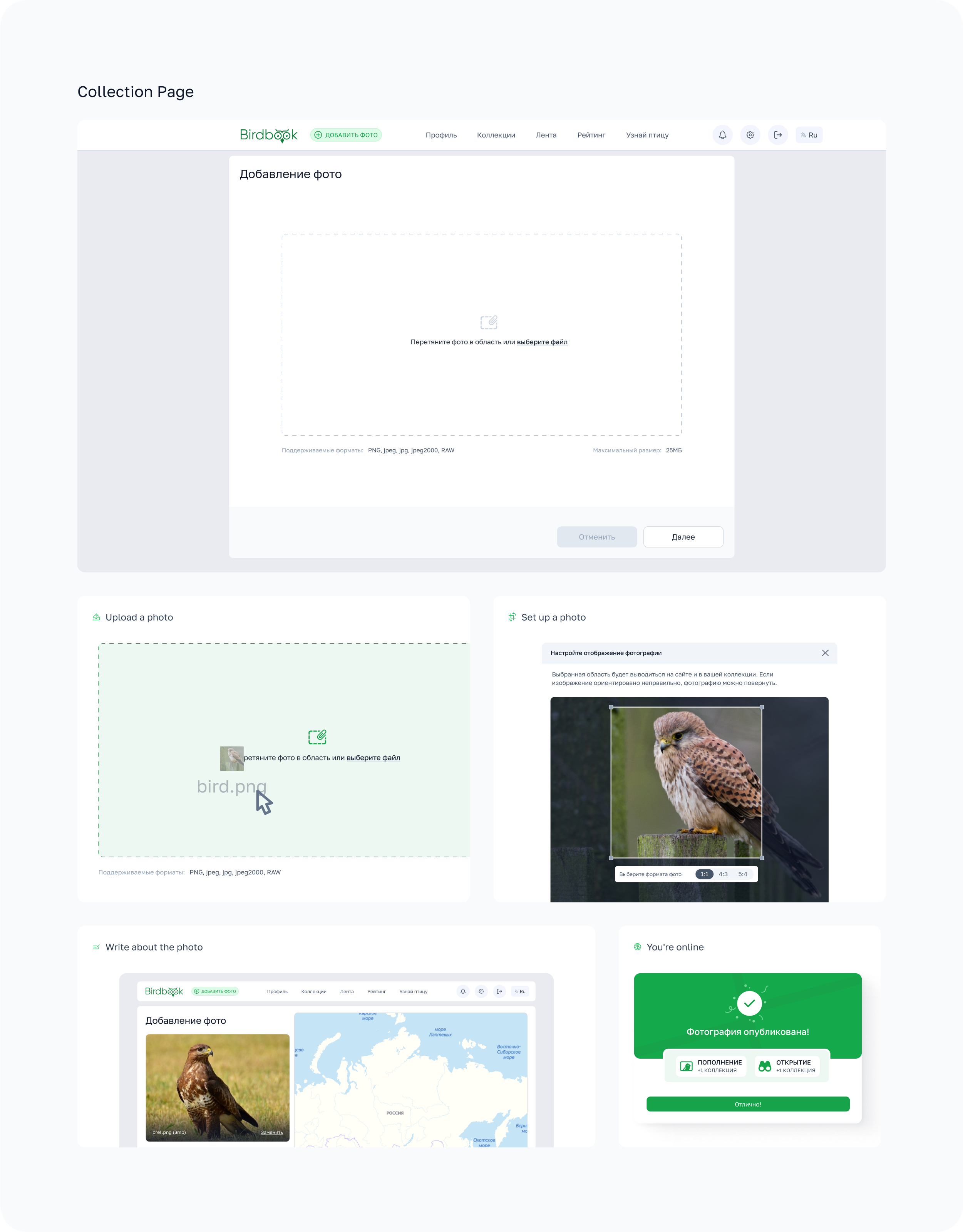 BirdBook - Социальная сеть. — Изображение №16 — Интерфейсы на Dprofile