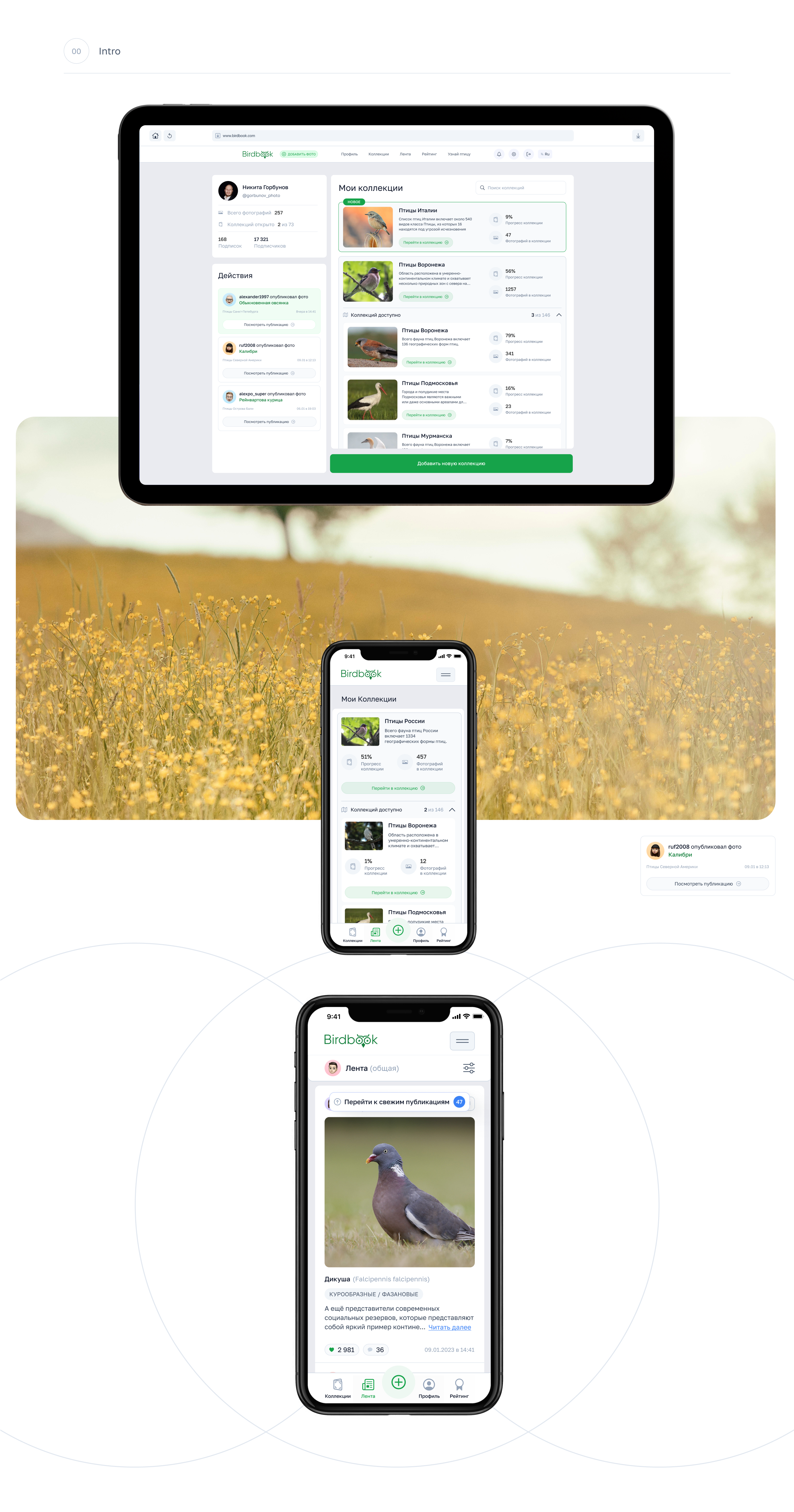 BirdBook - Социальная сеть. — Изображение №6 — Интерфейсы на Dprofile