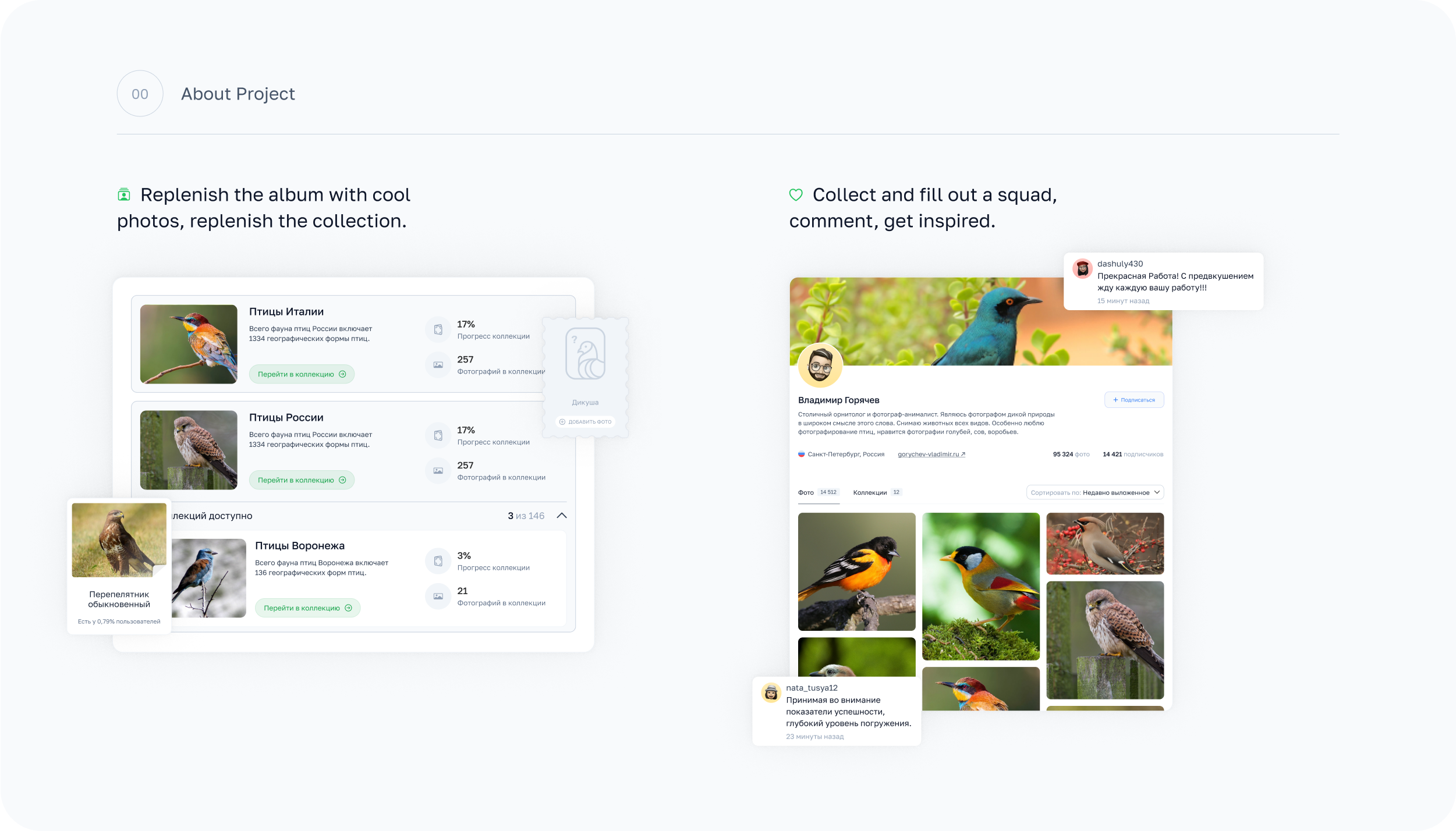 BirdBook - Социальная сеть. — Изображение №2 — Интерфейсы на Dprofile
