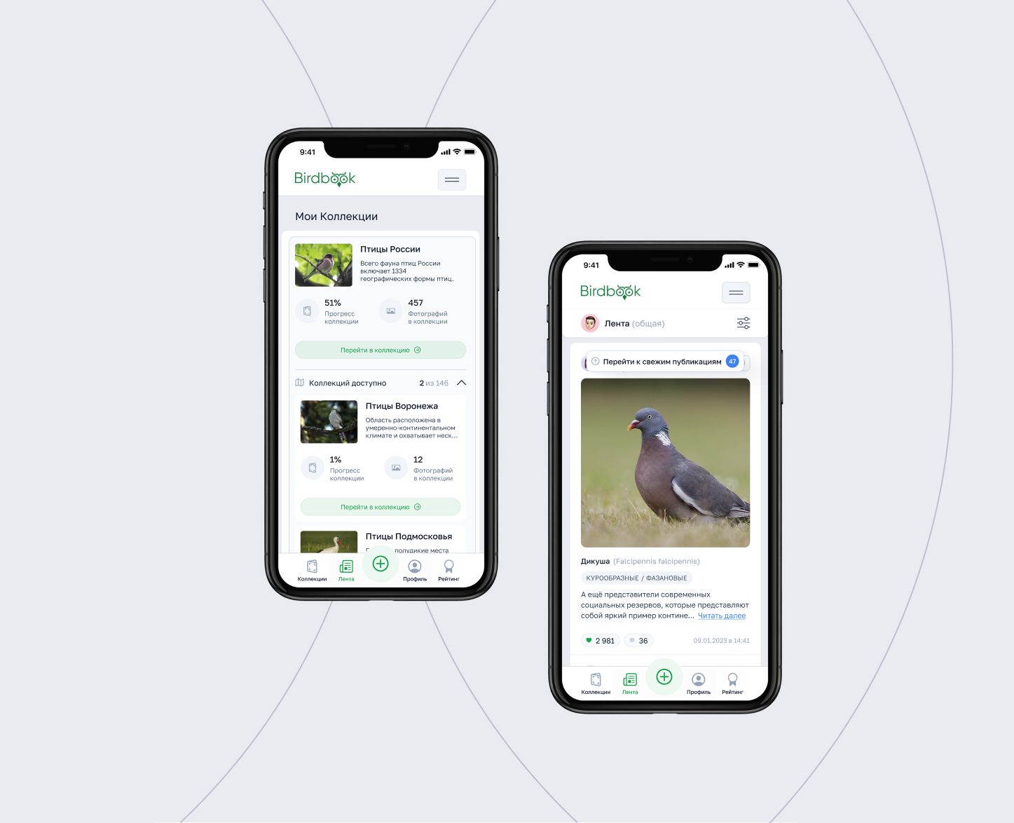 BirdBook - Социальная сеть. — Интерфейсы на Dprofile