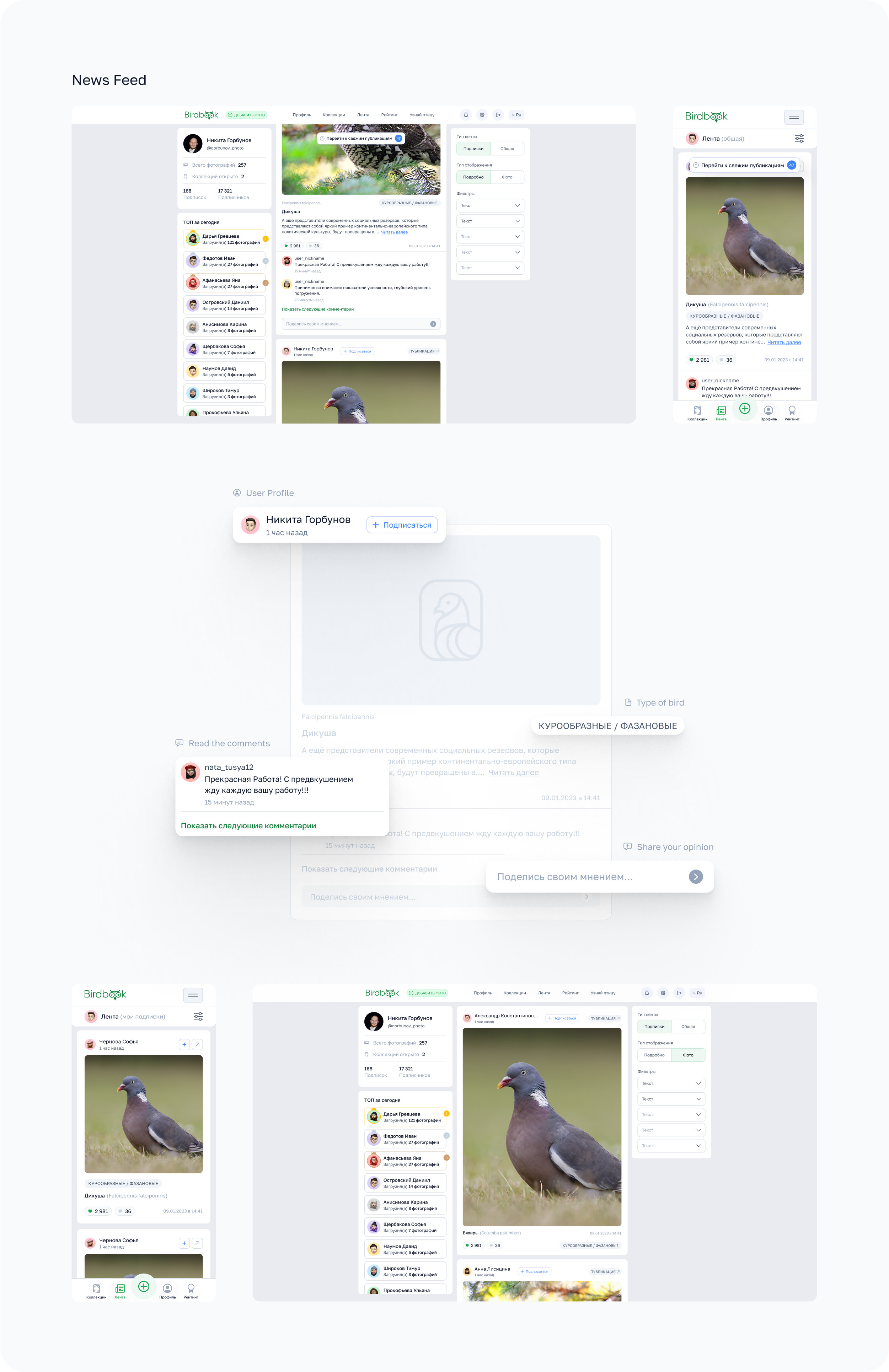 BirdBook - Социальная сеть. — Изображение №10 — Интерфейсы на Dprofile