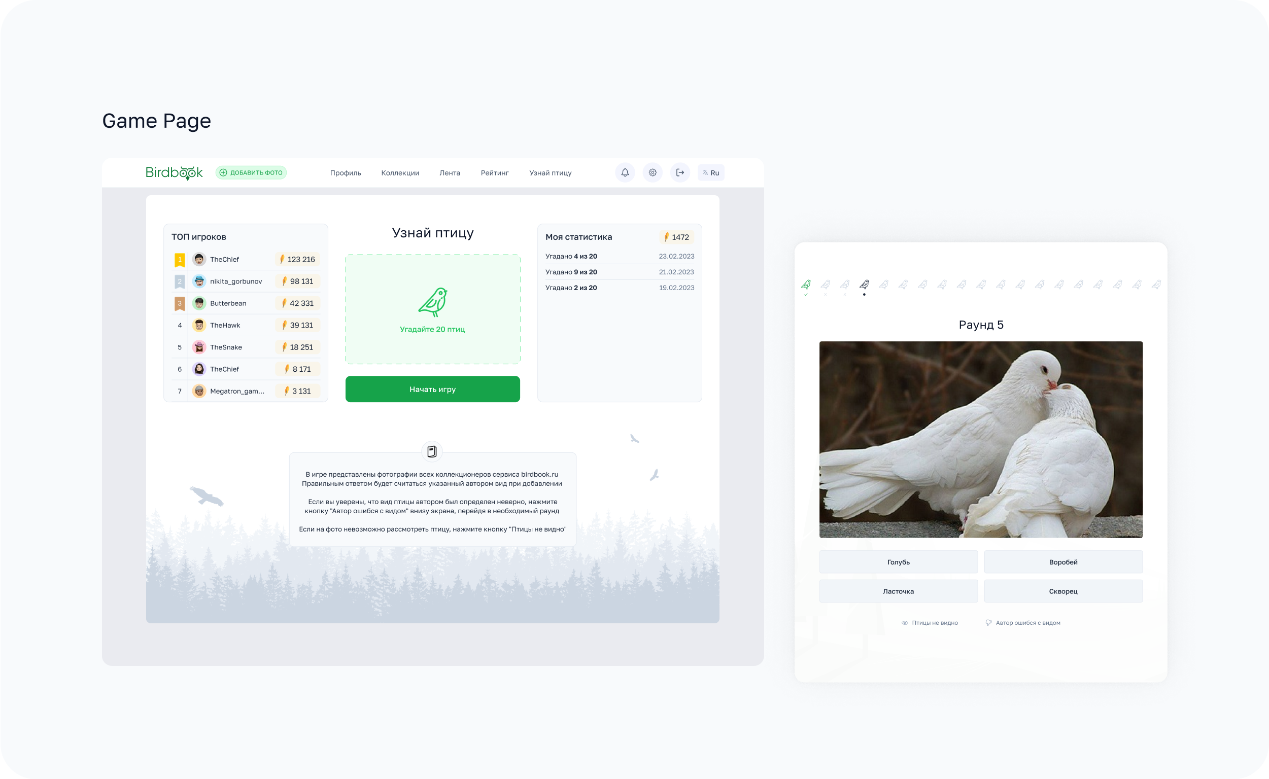 BirdBook - Социальная сеть. — Изображение №14 — Интерфейсы на Dprofile