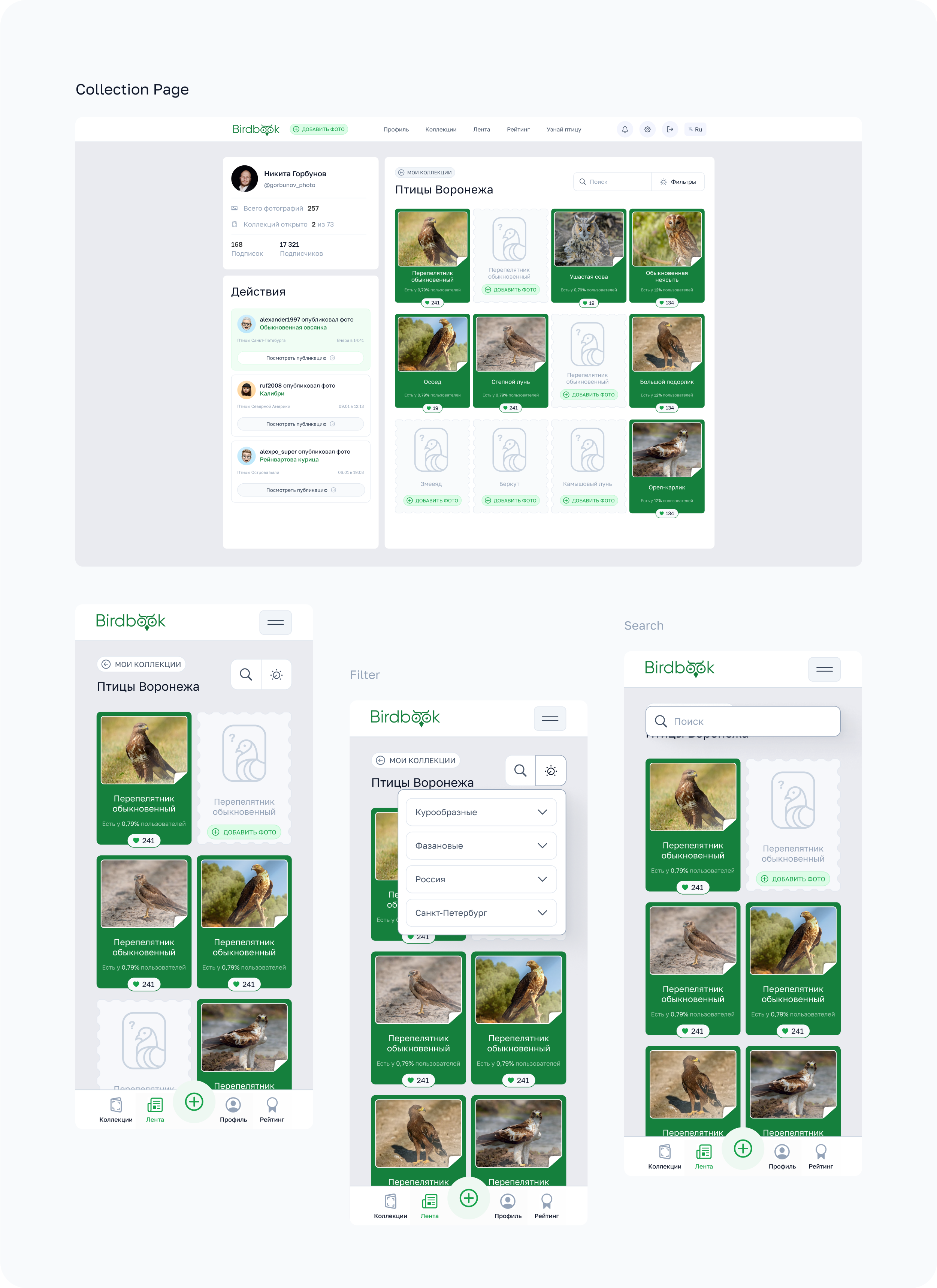 BirdBook - Социальная сеть. — Изображение №9 — Интерфейсы на Dprofile