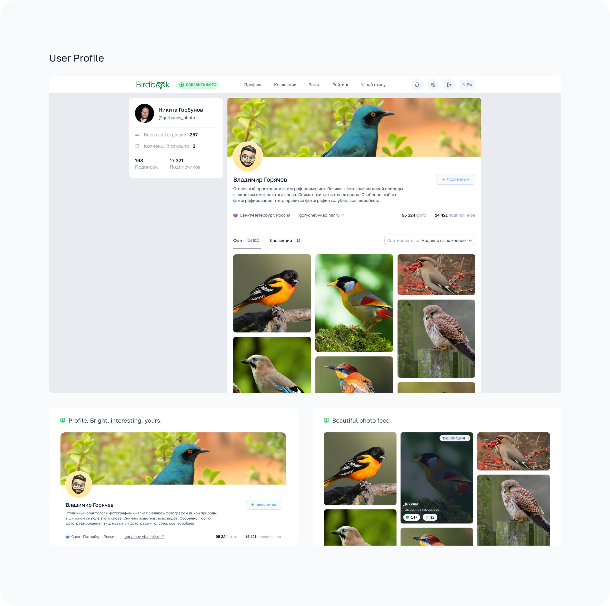 BirdBook - Социальная сеть. — Изображение №11 — Интерфейсы на Dprofile