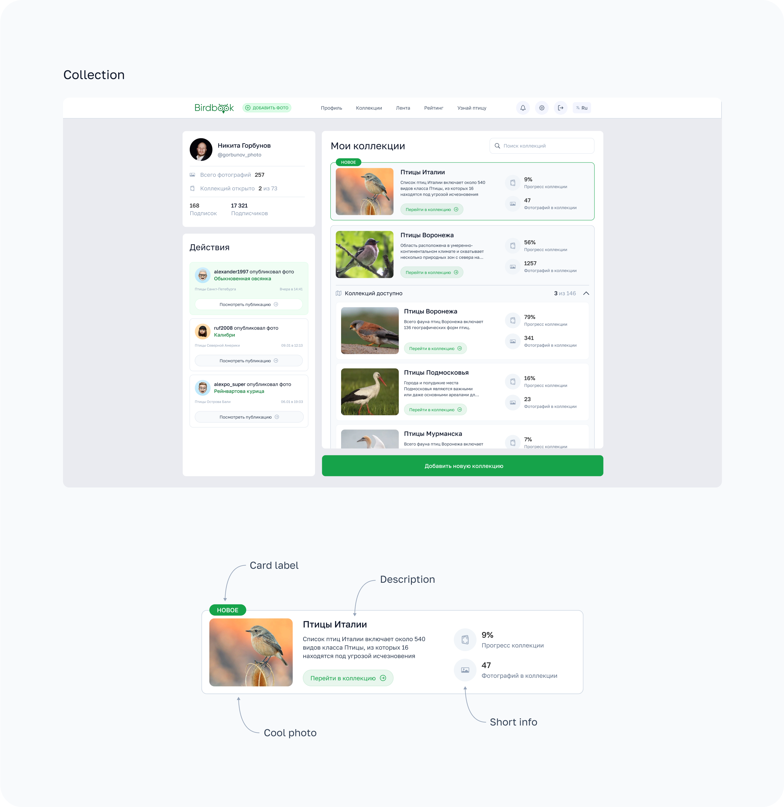 BirdBook - Социальная сеть. — Изображение №8 — Интерфейсы на Dprofile