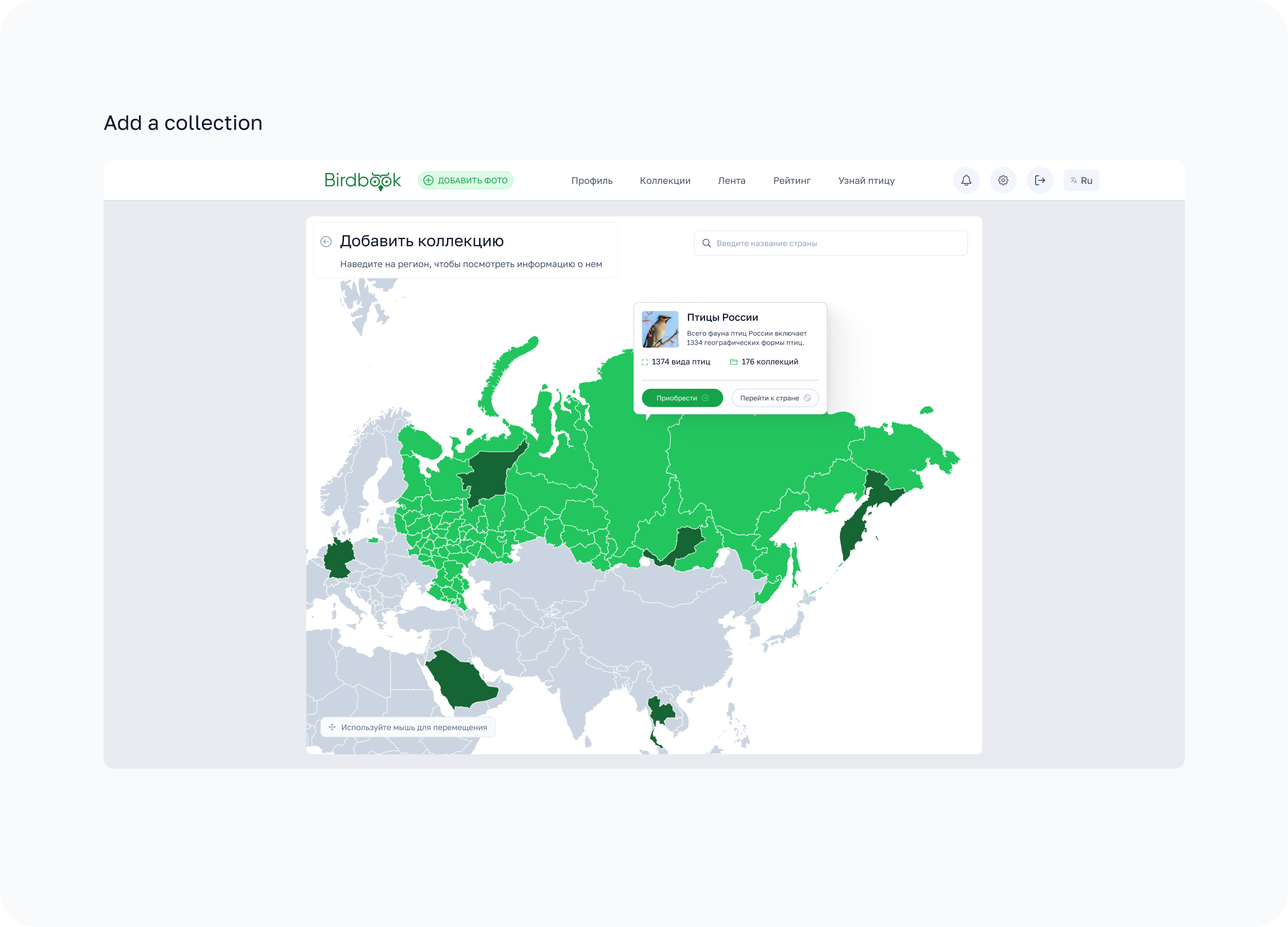BirdBook - Социальная сеть. — Изображение №15 — Интерфейсы на Dprofile