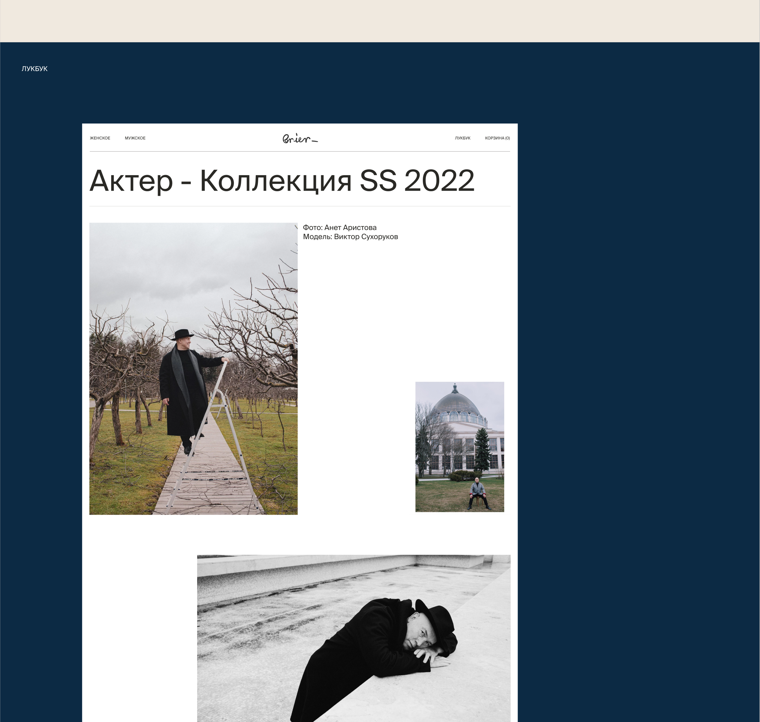 Brier — Интернет-магазин — Изображение №10 — Интерфейсы на Dprofile