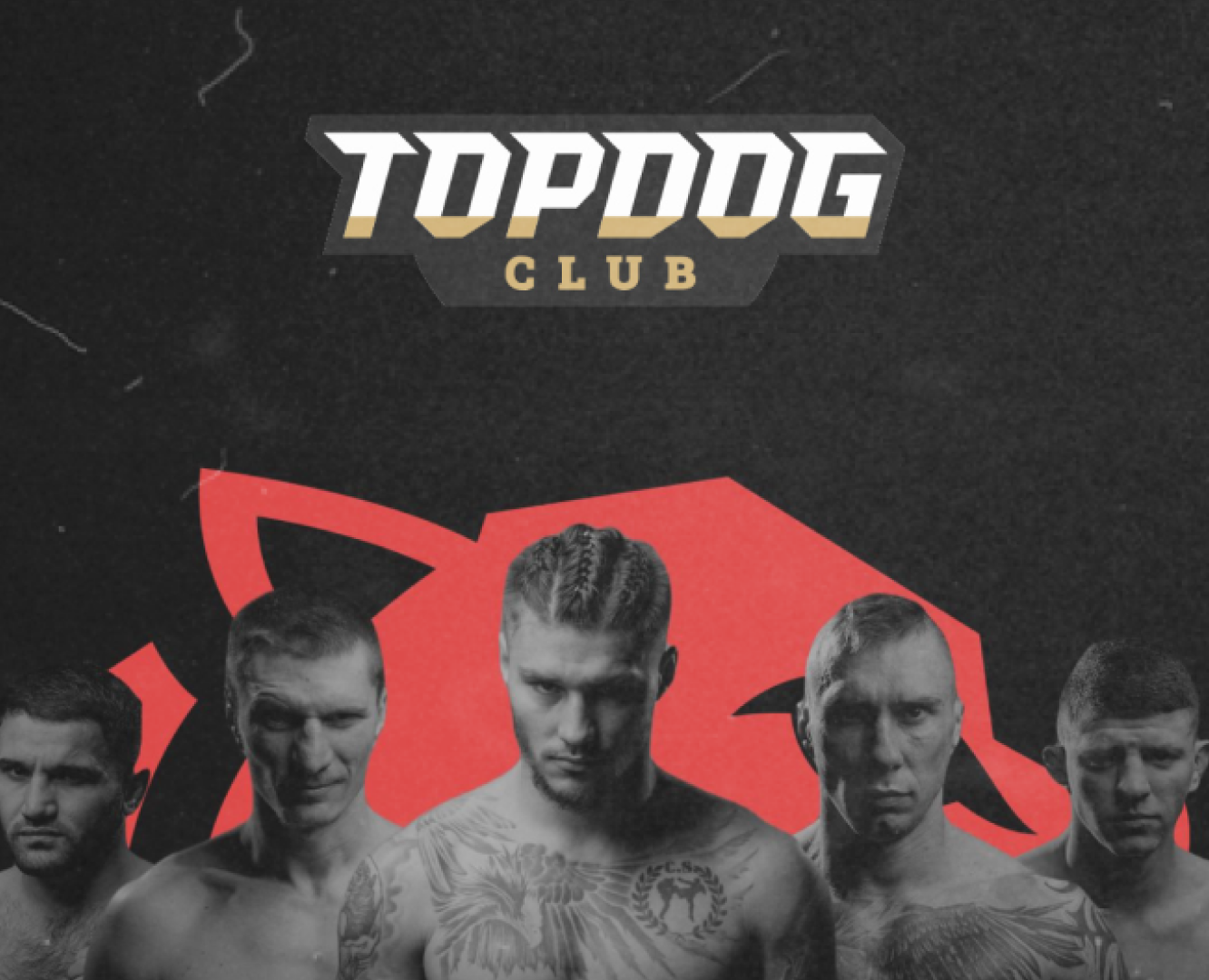 Креативы для TOPDOG — Брендинг, Маркетинг на Dprofile