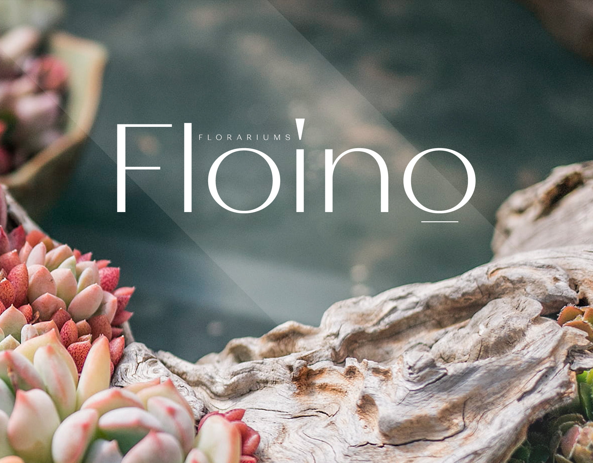 Landing page - Floino Florarium — Изображение №1 — Интерфейсы, Маркетинг на Dprofile