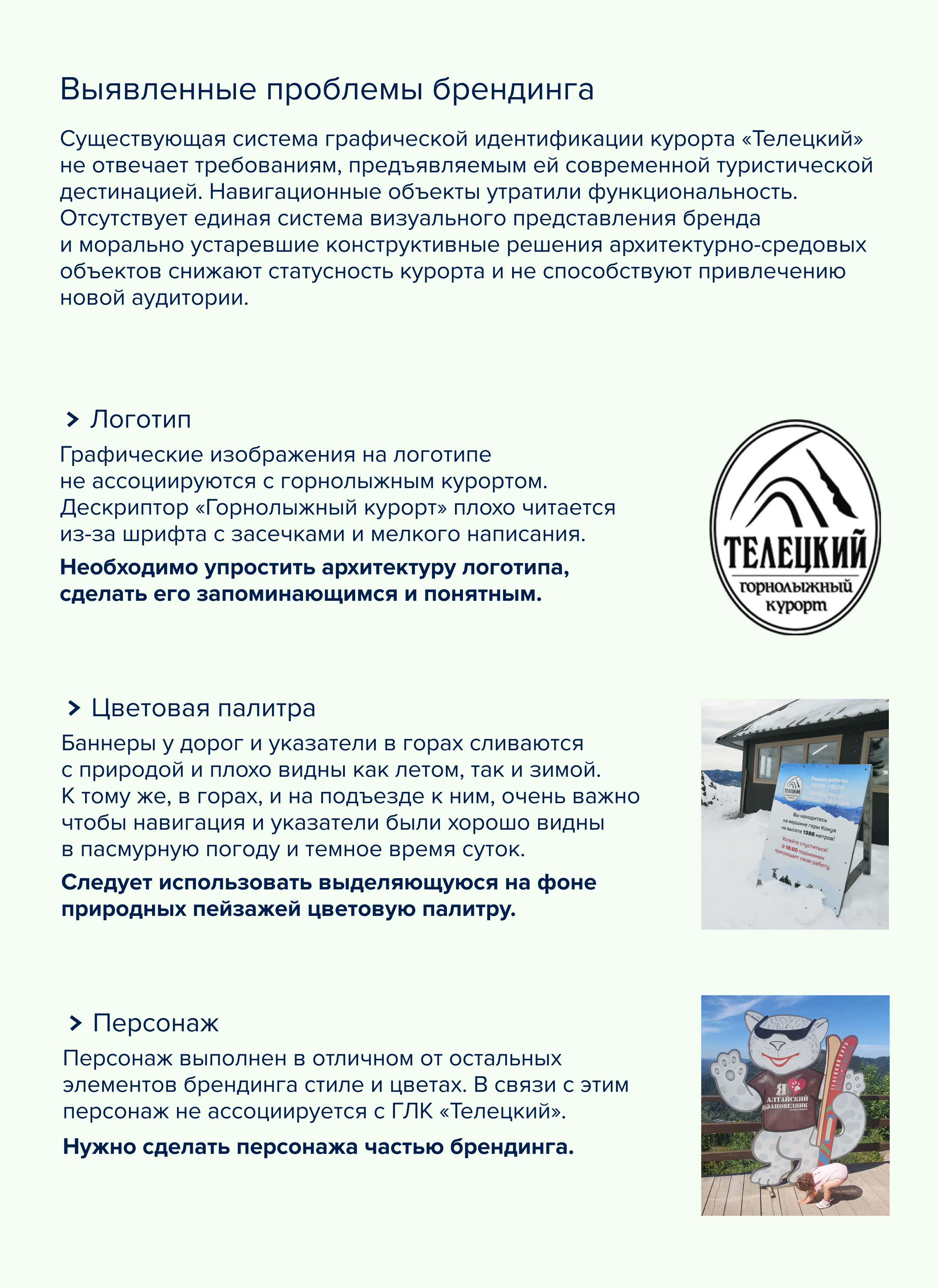 Ребрендинг горноложного курорта Телецкий — Изображение №4 — Брендинг на Dprofile
