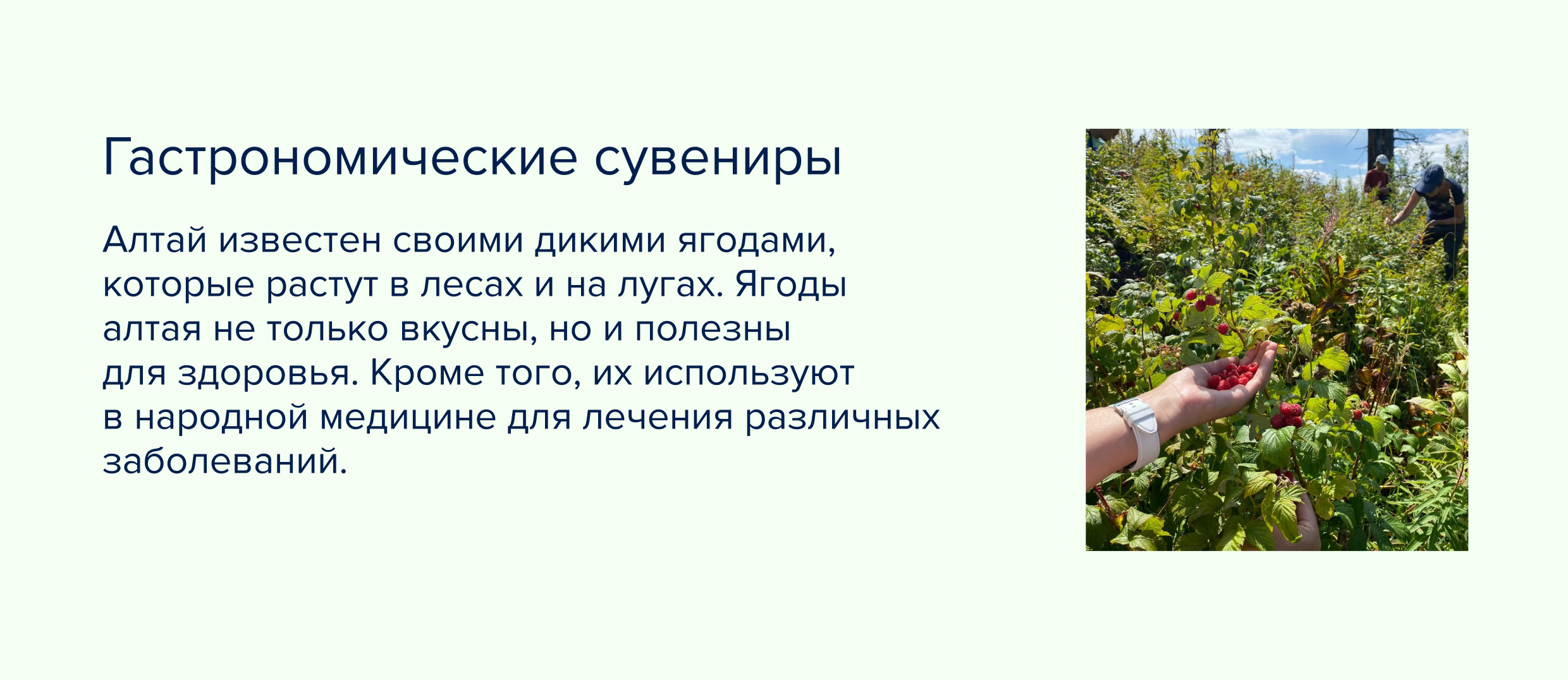 Ребрендинг горноложного курорта Телецкий — Изображение №39 — Брендинг на Dprofile