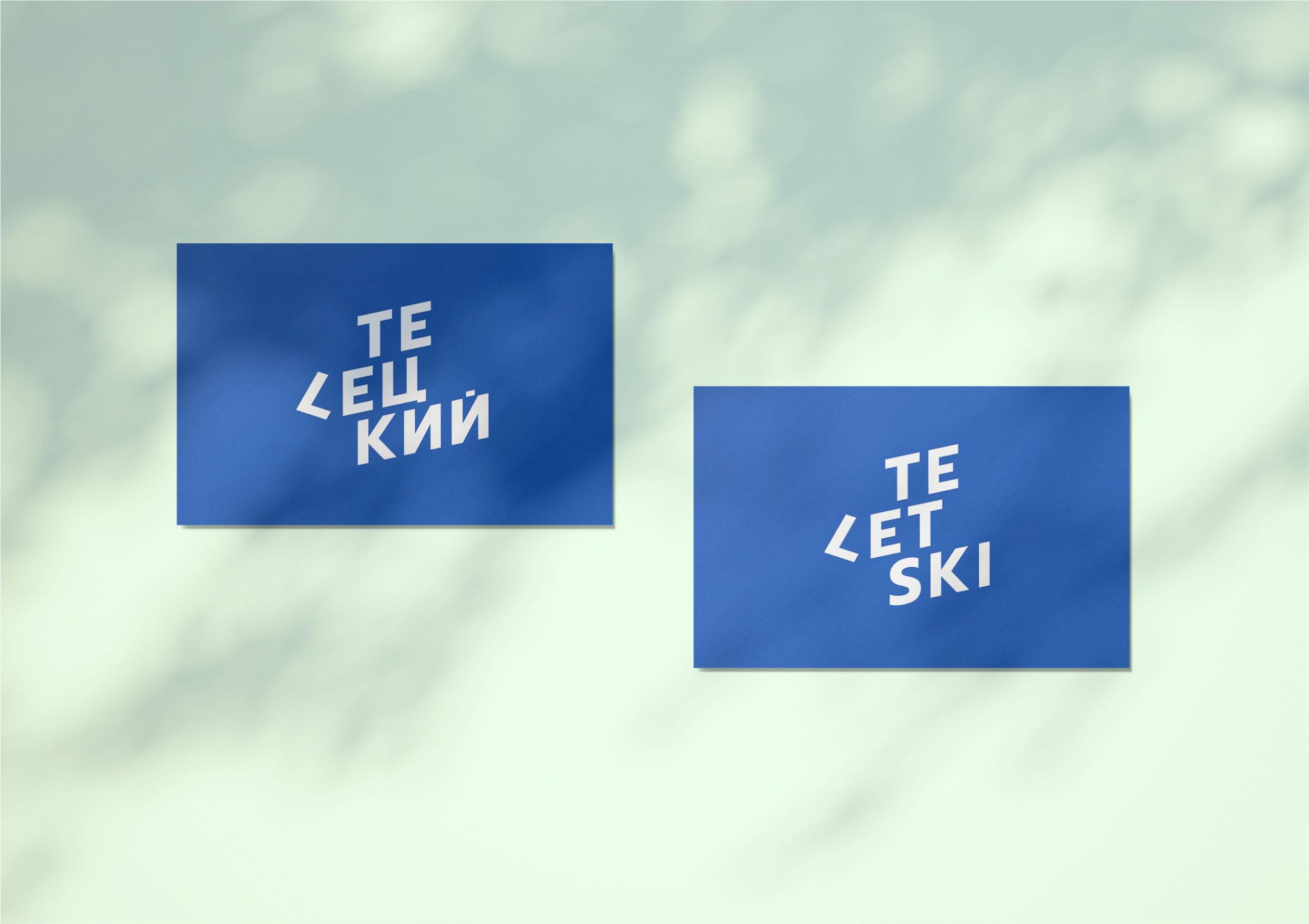 Ребрендинг горноложного курорта Телецкий — Изображение №12 — Брендинг на Dprofile