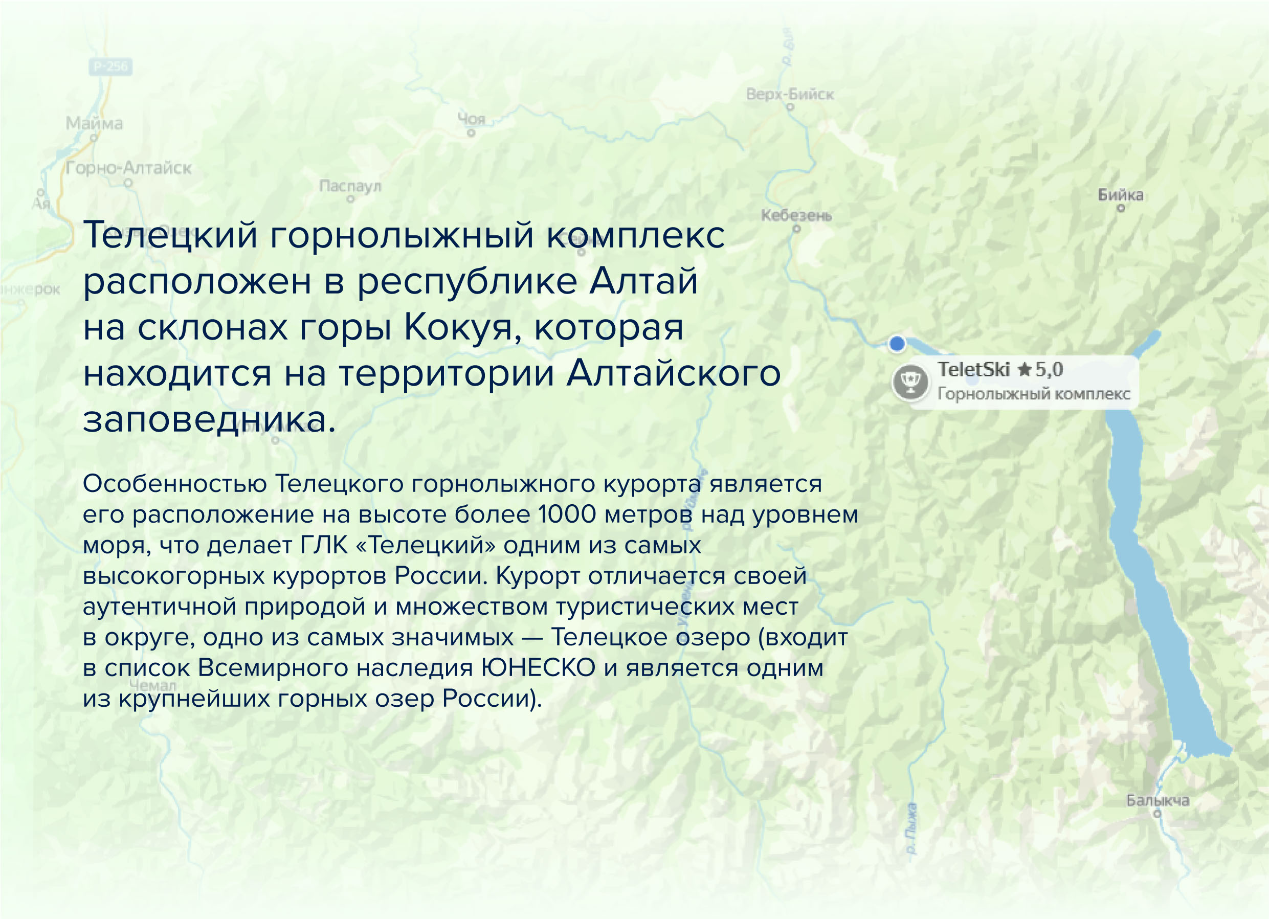 Ребрендинг горноложного курорта Телецкий — Изображение №3 — Брендинг на Dprofile