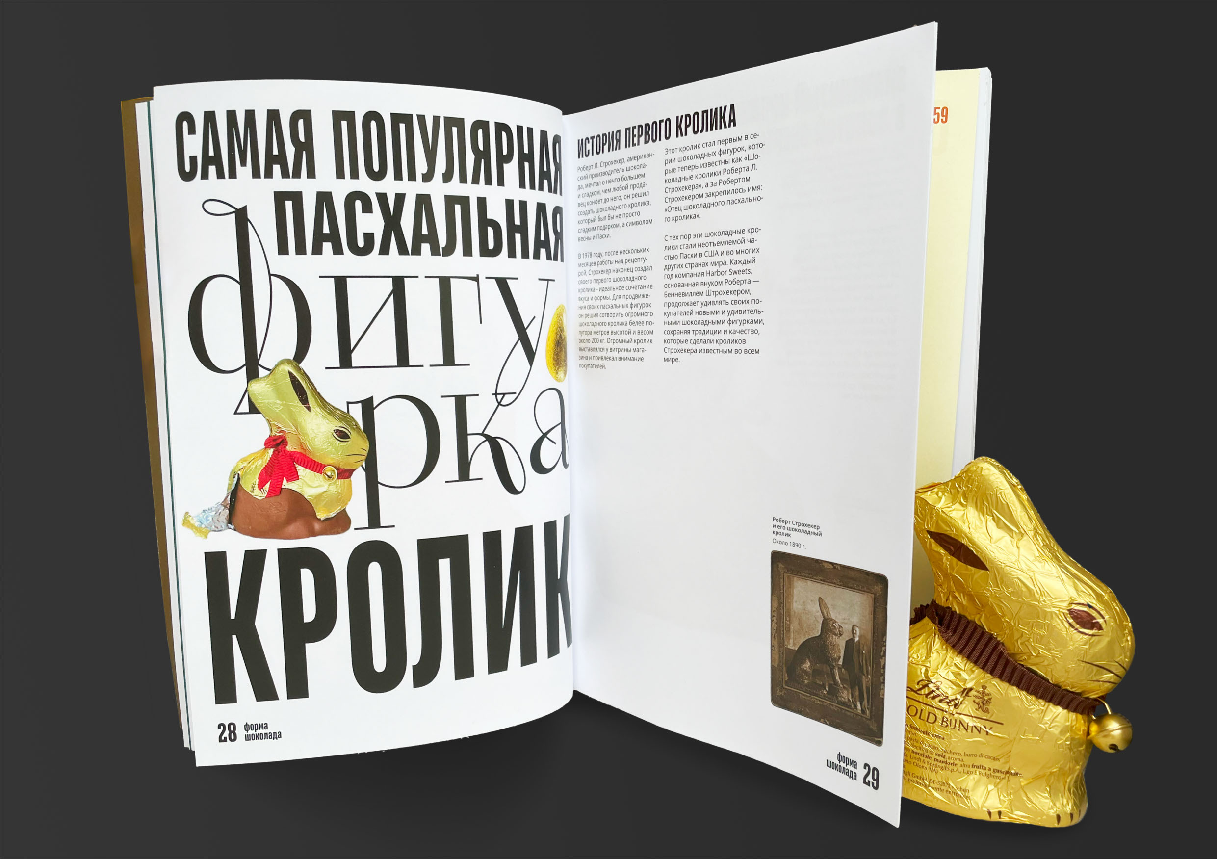 Дизайн книги о шоколаде — Изображение №16 — Брендинг, Графика на Dprofile