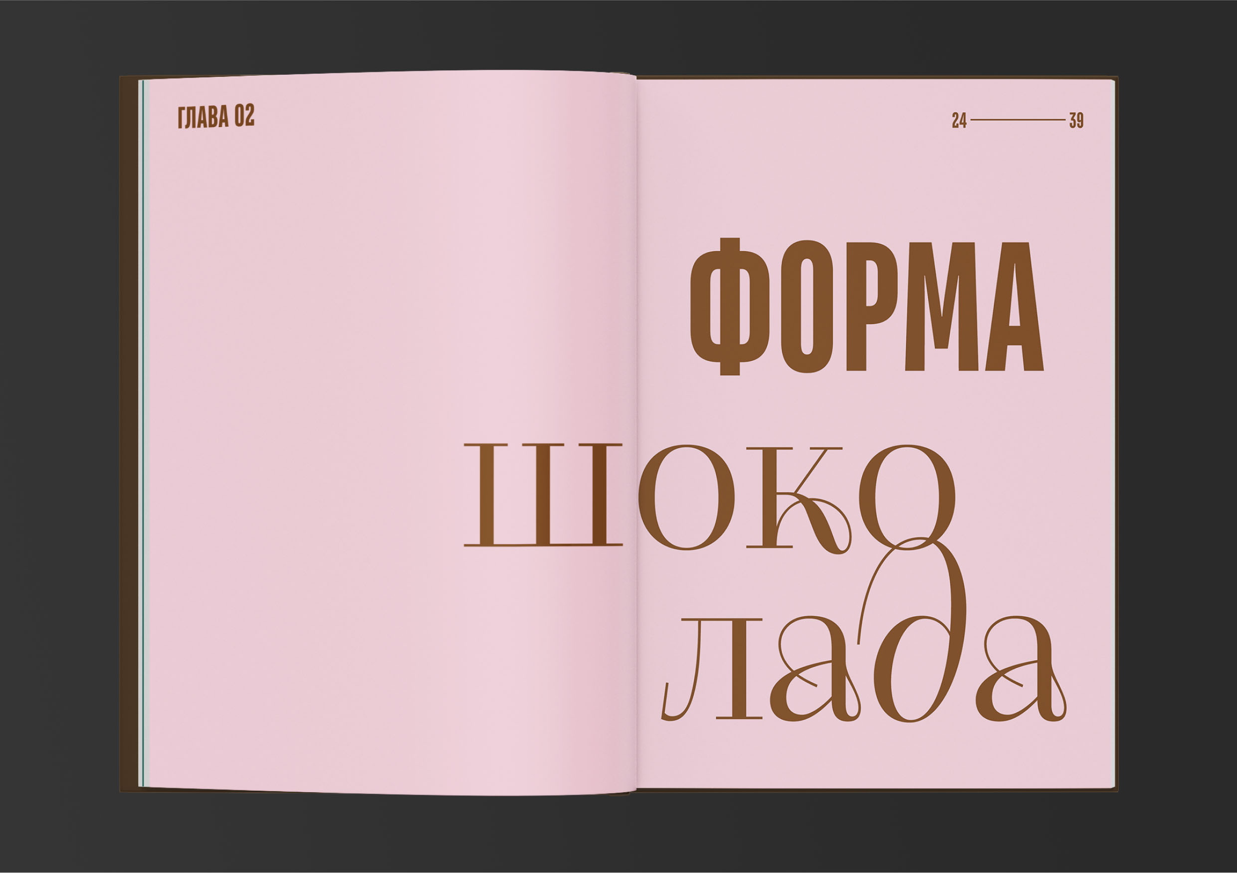 Дизайн книги о шоколаде — Изображение №15 — Брендинг, Графика на Dprofile