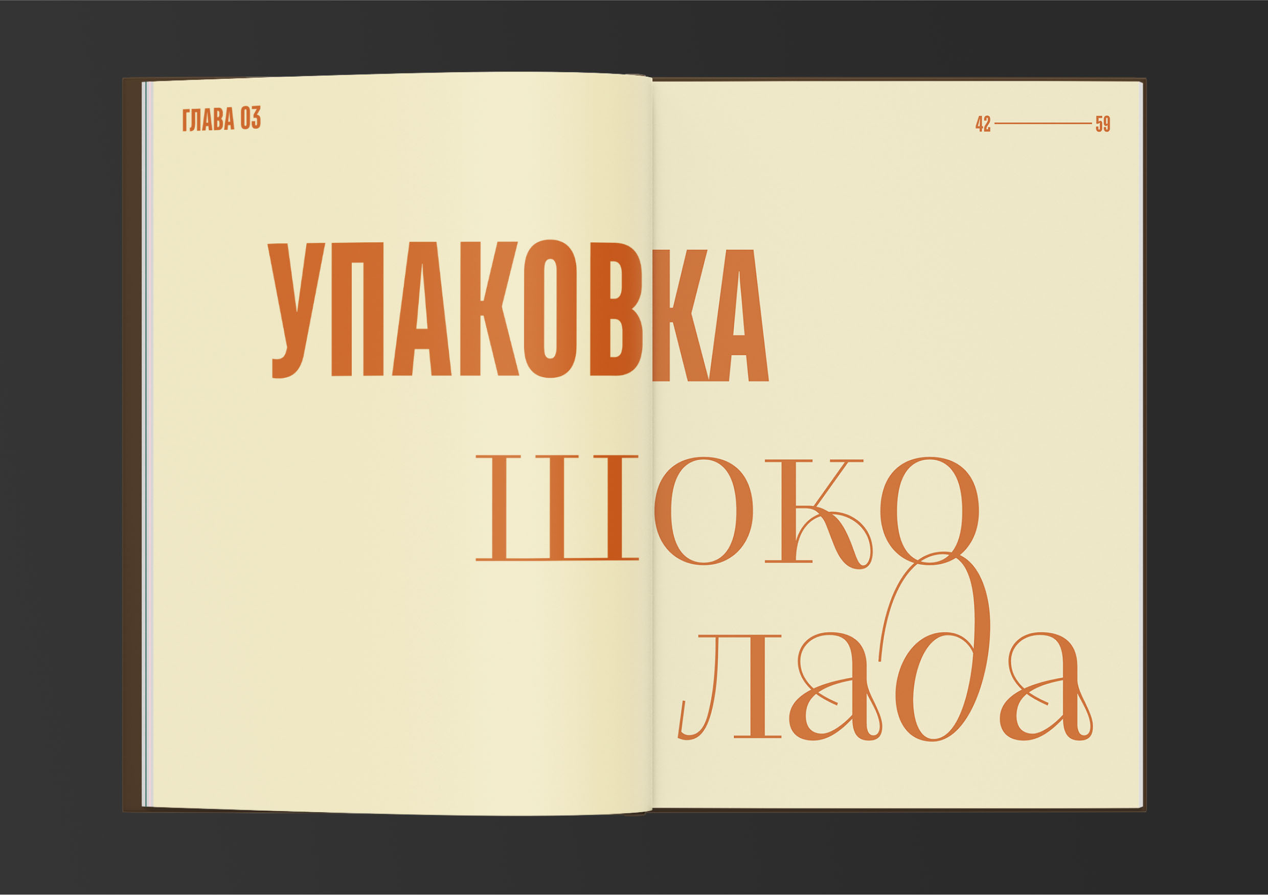 Дизайн книги о шоколаде — Изображение №18 — Брендинг, Графика на Dprofile