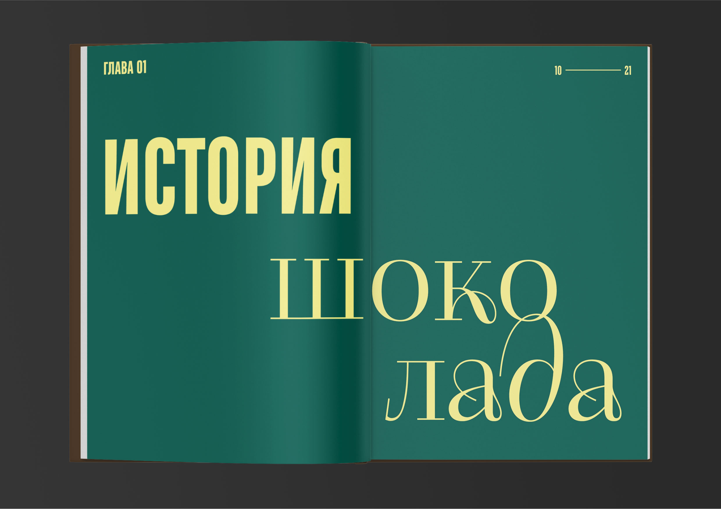 Дизайн книги о шоколаде — Изображение №10 — Брендинг, Графика на Dprofile