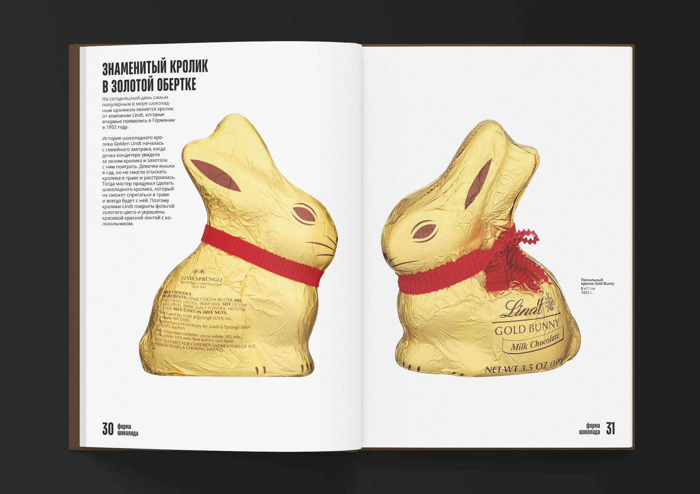 Дизайн книги о шоколаде — Изображение №17 — Брендинг, Графика на Dprofile