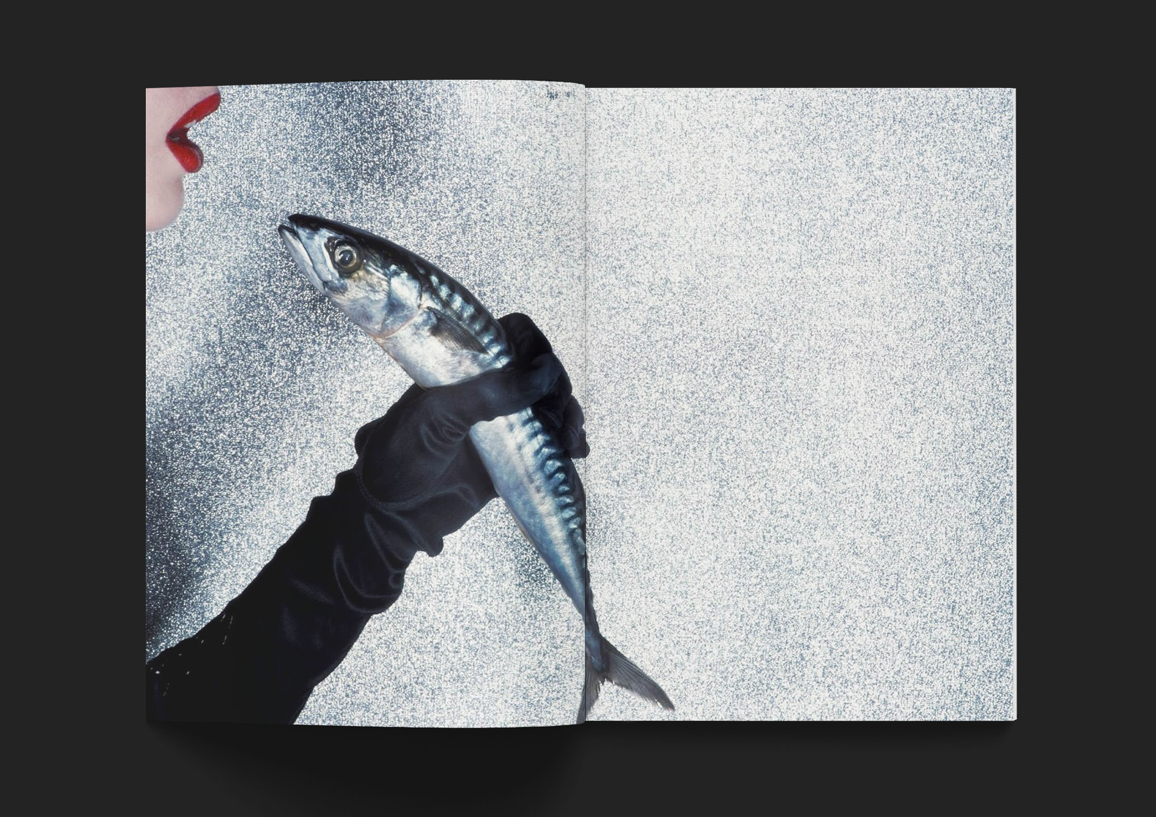 Дизайн книги о фешн фотографе Guy Bourdin — Изображение №17 — Графика на Dprofile