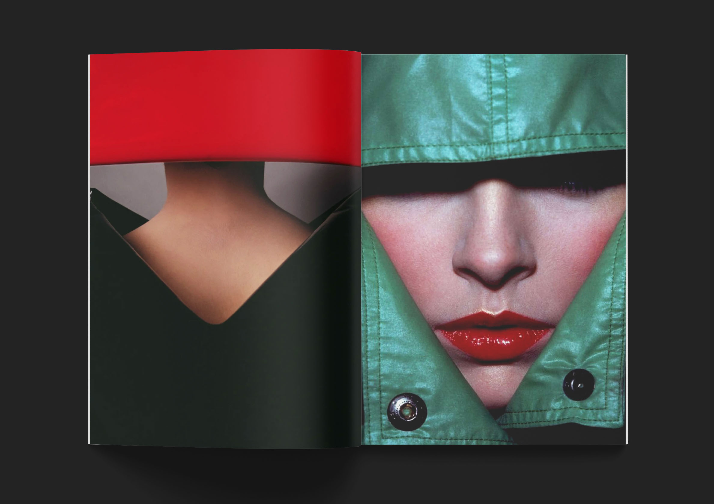 Дизайн книги о фешн фотографе Guy Bourdin — Изображение №20 — Графика на Dprofile