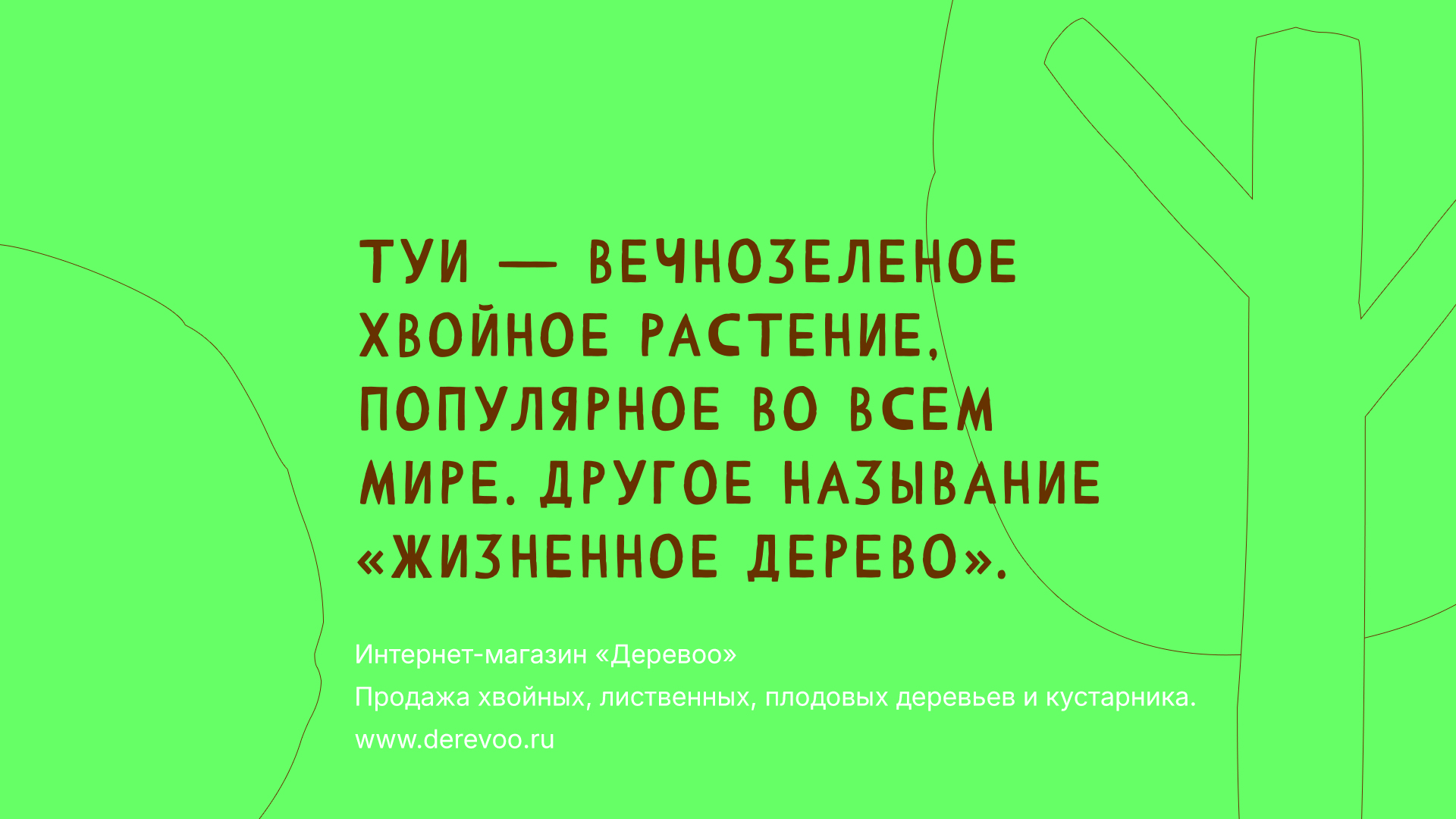 Нейминг и айдентика Деревоо — Изображение №3 — Брендинг на Dprofile