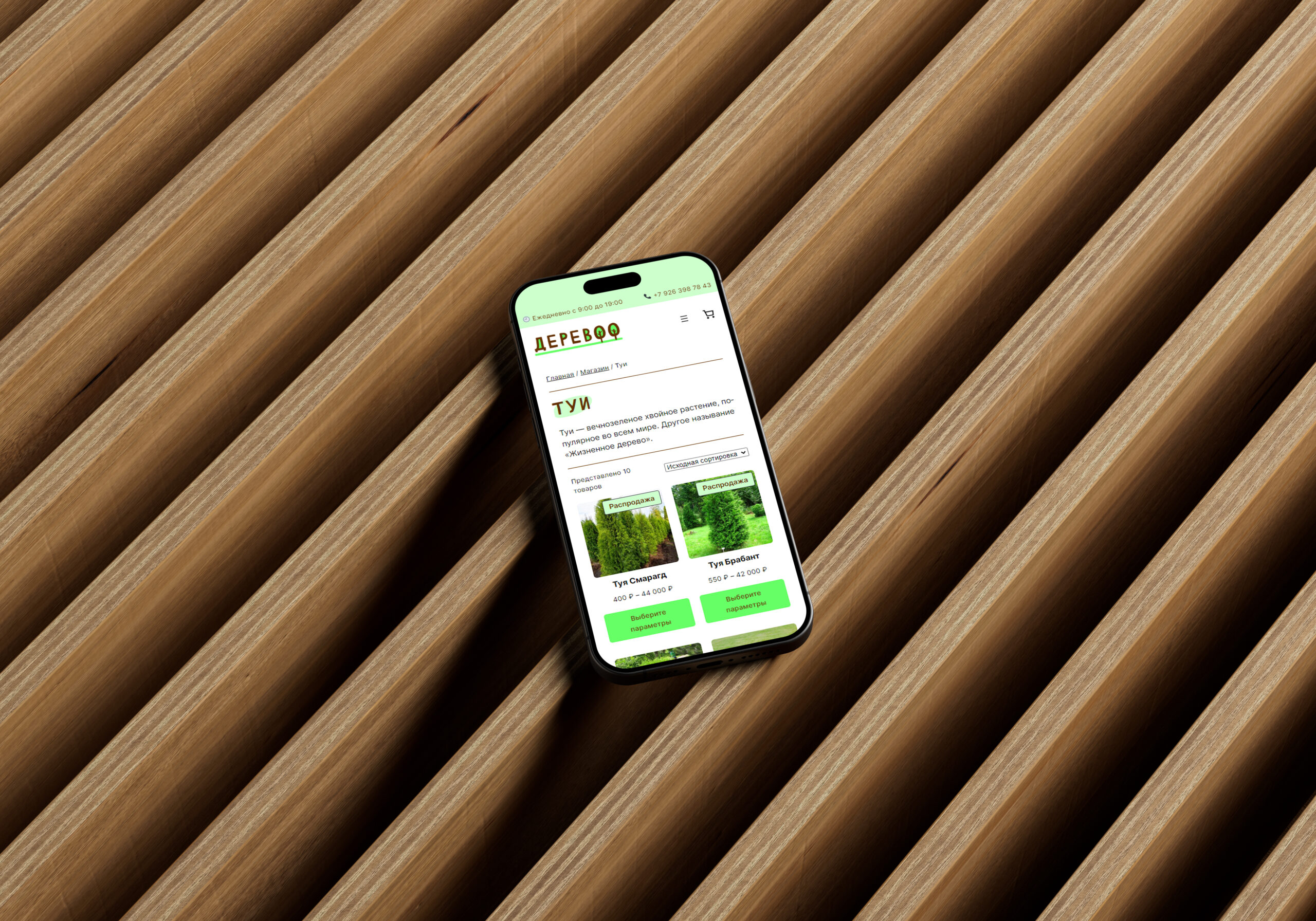 Интернет-магазин деревьев «Деревоо» — Изображение №9 — Интерфейсы, Брендинг на Dprofile