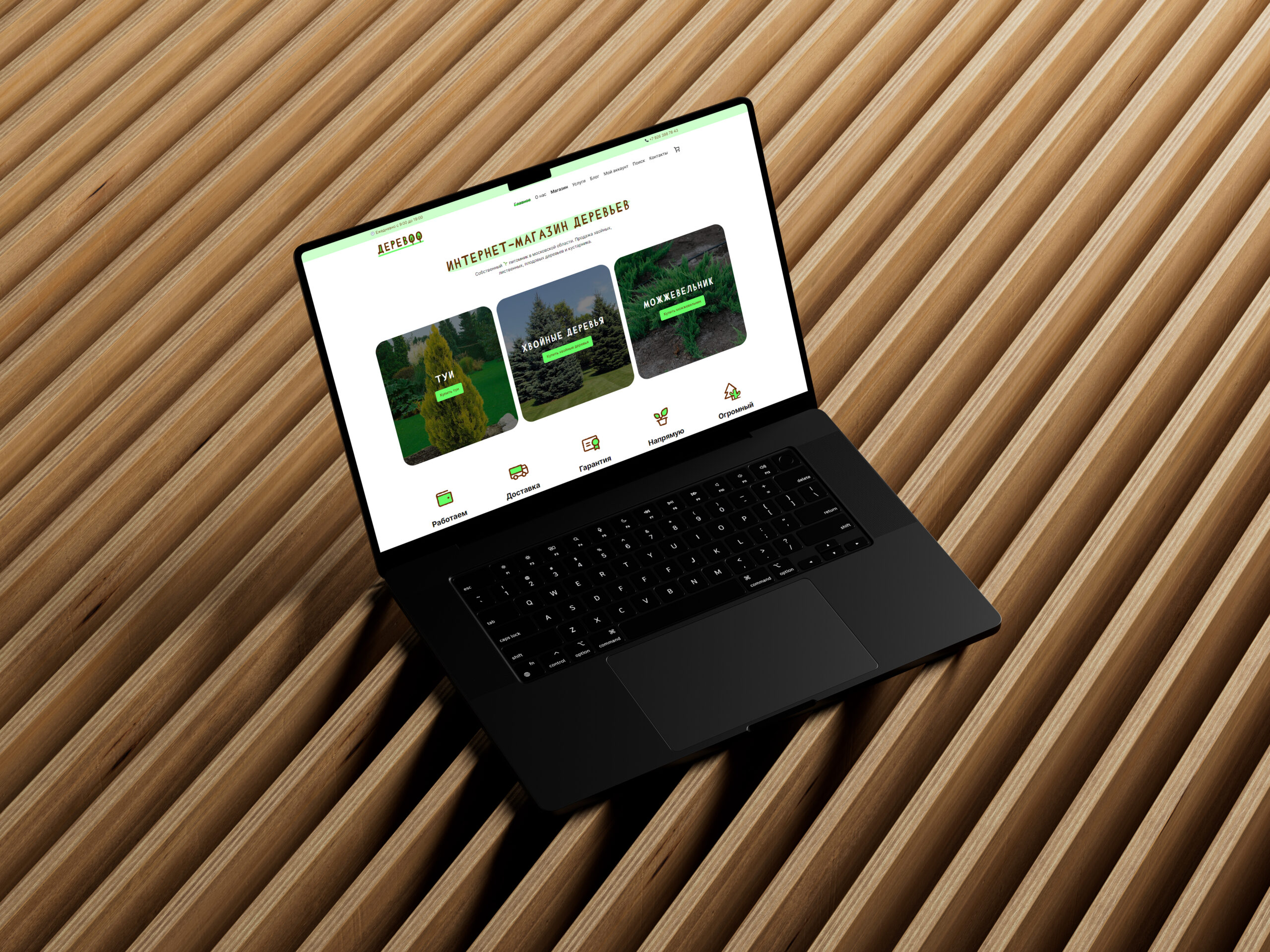 Интернет-магазин деревьев «Деревоо» — Изображение №1 — Интерфейсы, Брендинг на Dprofile