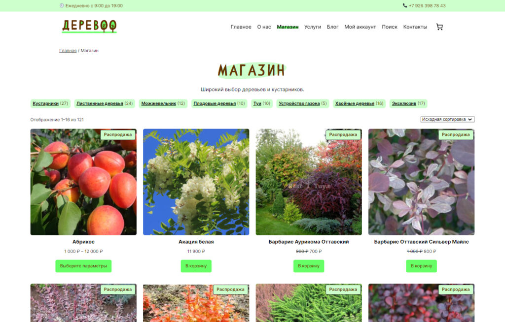 Интернет-магазин деревьев «Деревоо» — Изображение №2 — Интерфейсы, Брендинг на Dprofile