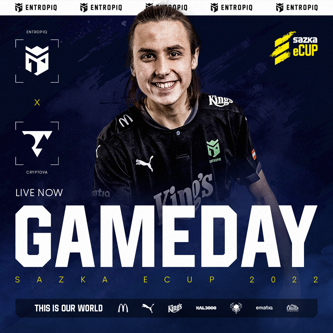 Entropiq (official esports design) — Изображение №56 — Брендинг, Маркетинг на Dprofile