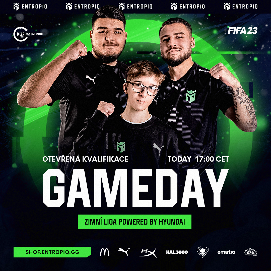 Entropiq (official esports design) — Изображение №72 — Брендинг, Маркетинг на Dprofile