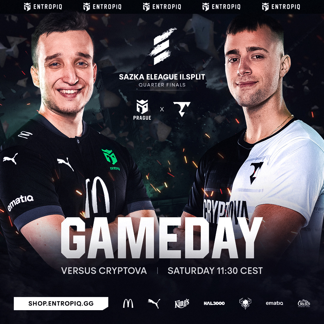 Entropiq (official esports design) — Изображение №28 — Брендинг, Маркетинг на Dprofile