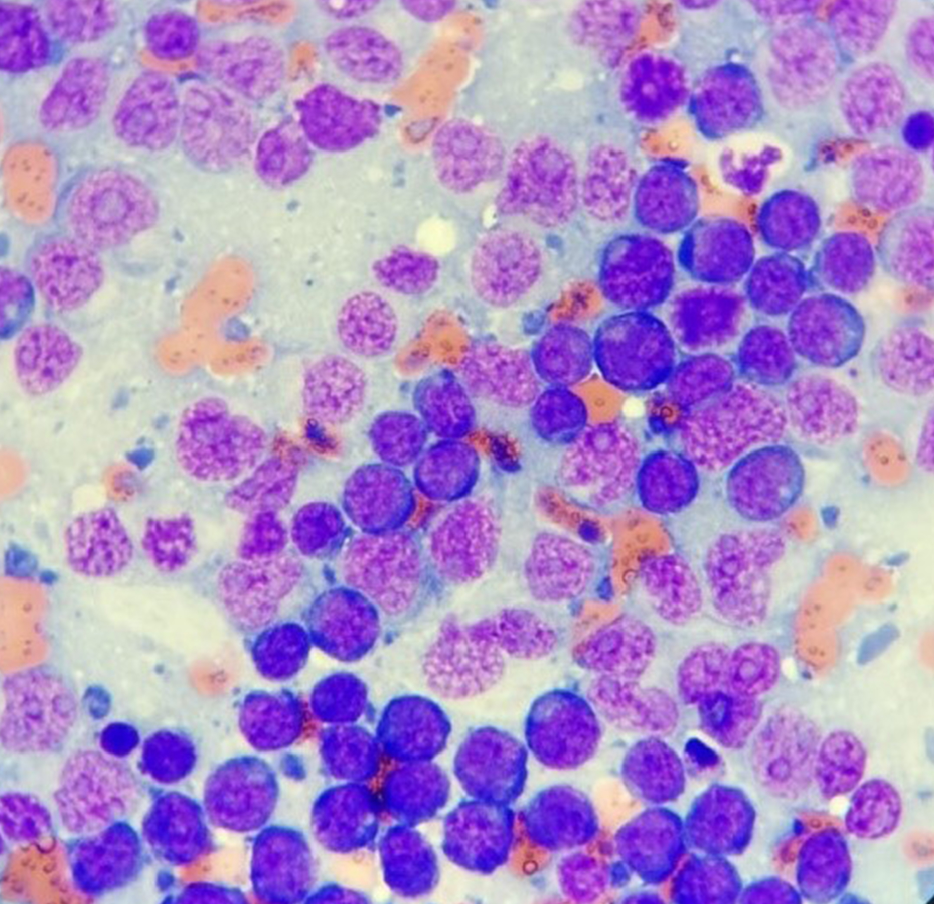 Artgen Biotech - наука ради жизни — Изображение №7 — Интерфейсы, Брендинг на Dprofile