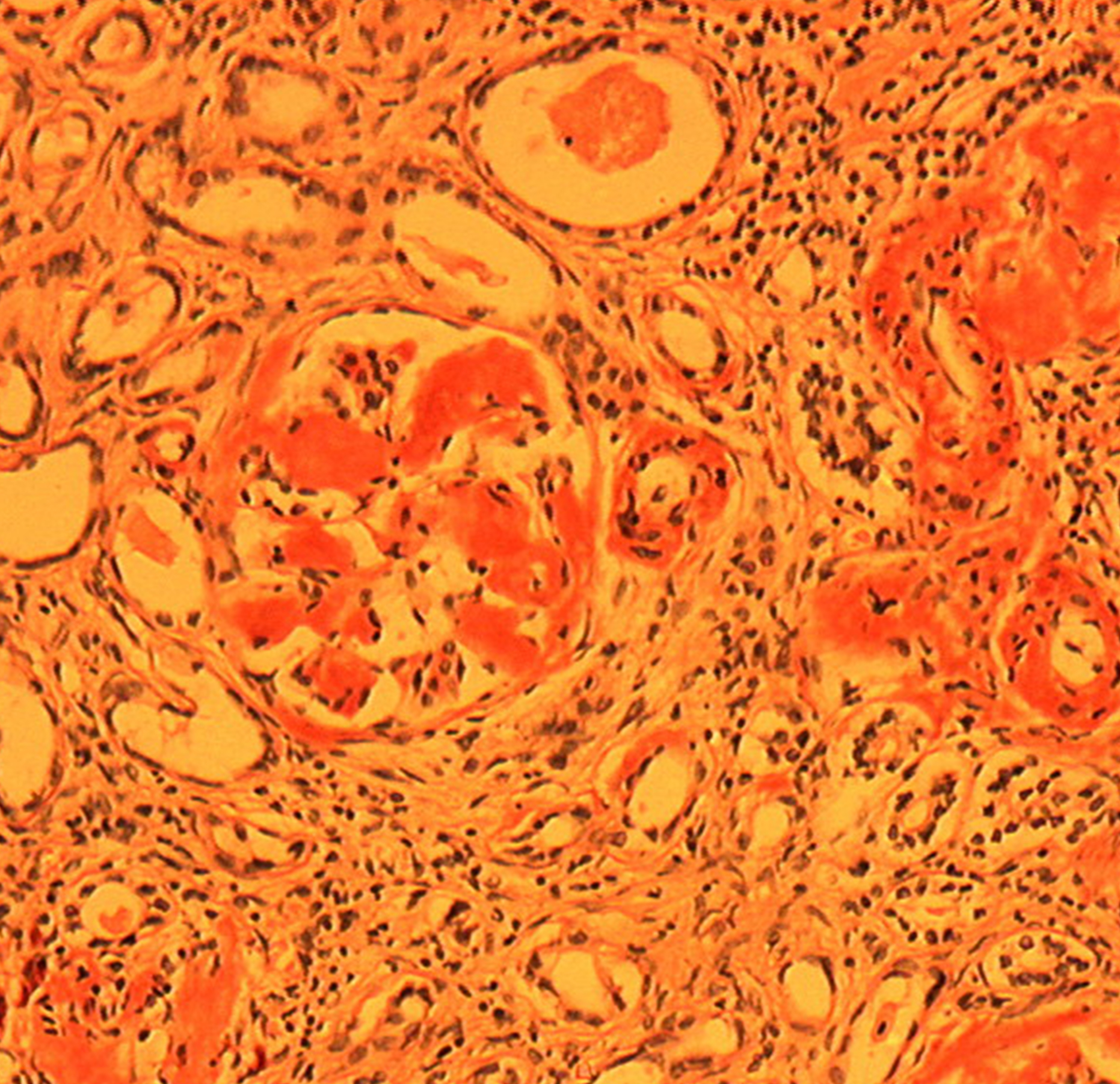 Artgen Biotech - наука ради жизни — Изображение №6 — Интерфейсы, Брендинг на Dprofile