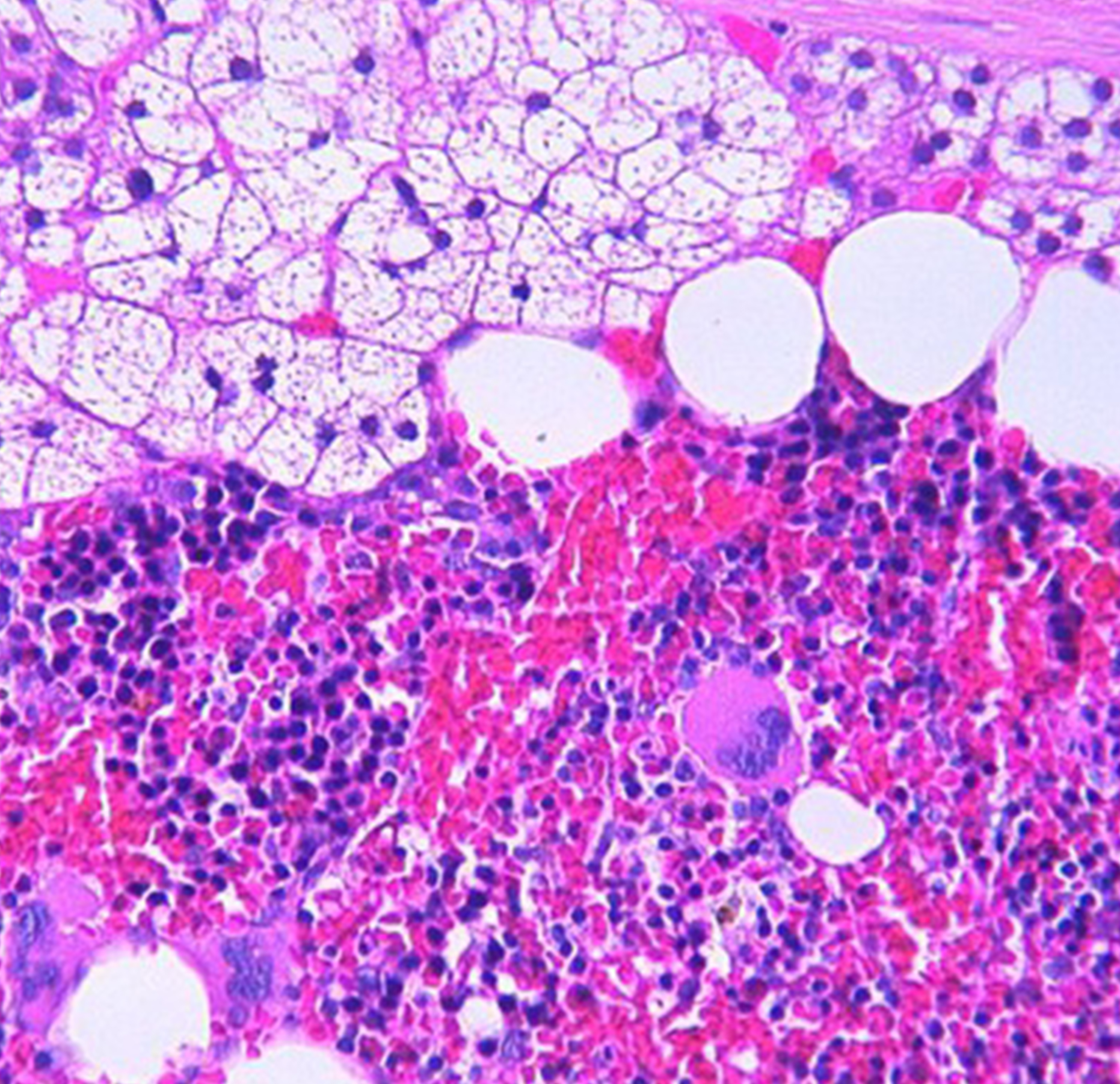 Artgen Biotech - наука ради жизни — Изображение №8 — Интерфейсы, Брендинг на Dprofile