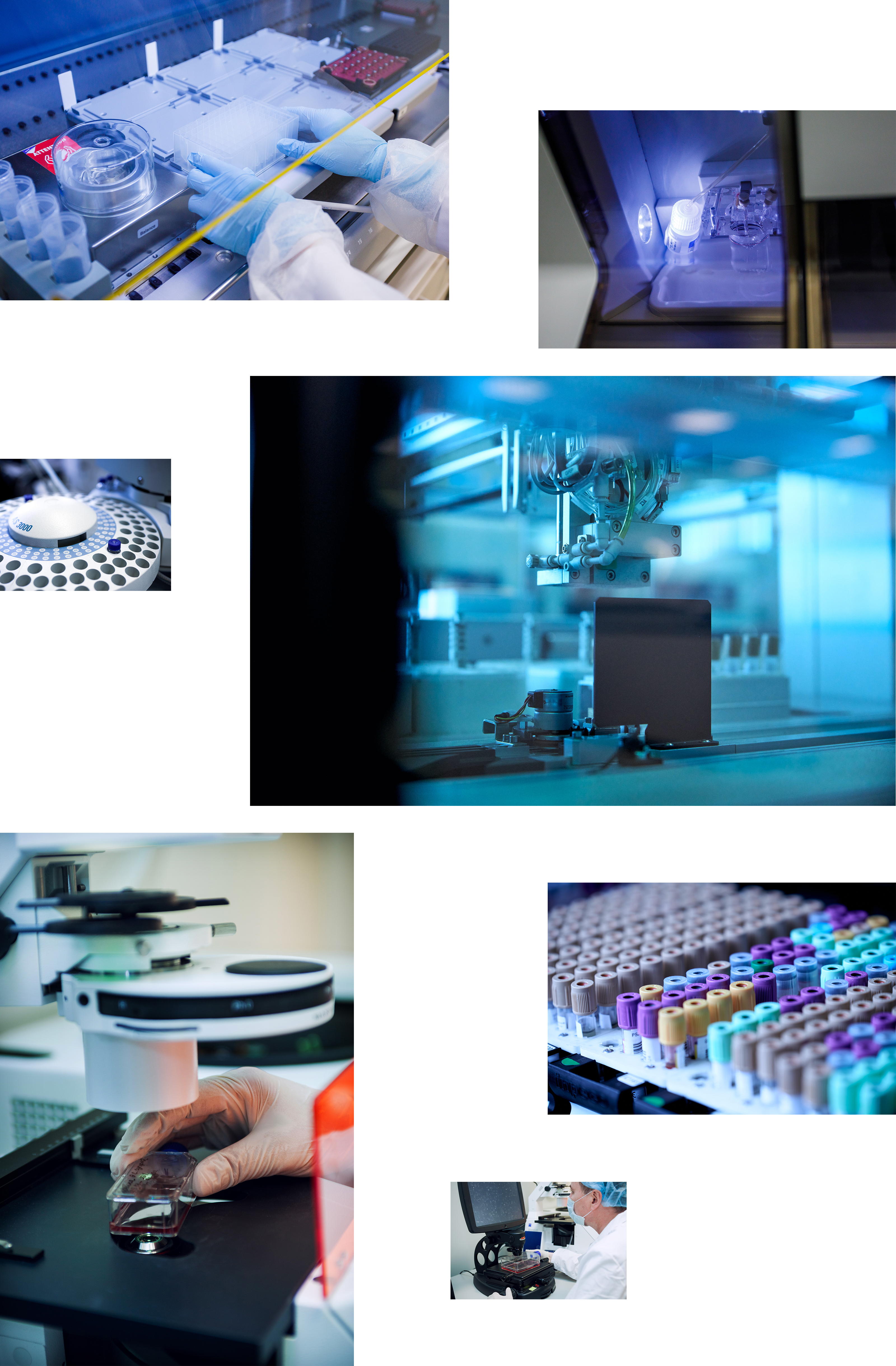 Artgen Biotech - наука ради жизни — Изображение №31 — Интерфейсы, Брендинг на Dprofile